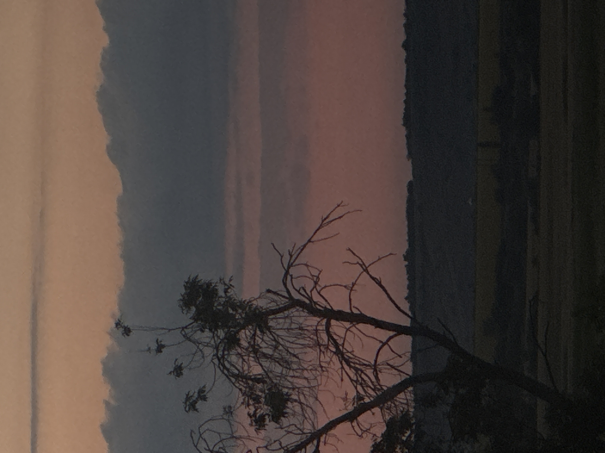 Sunset skies, birds, and a few random close-ups