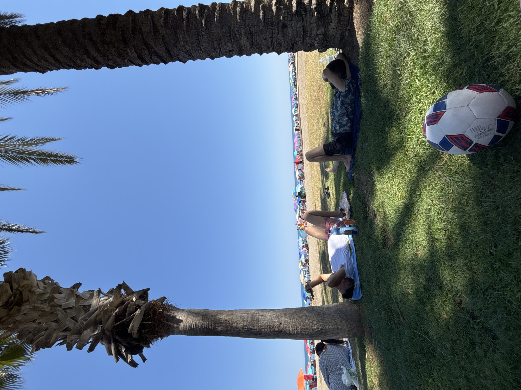 Leisurely afternoon captured at Málaga park with dog, soccer ball