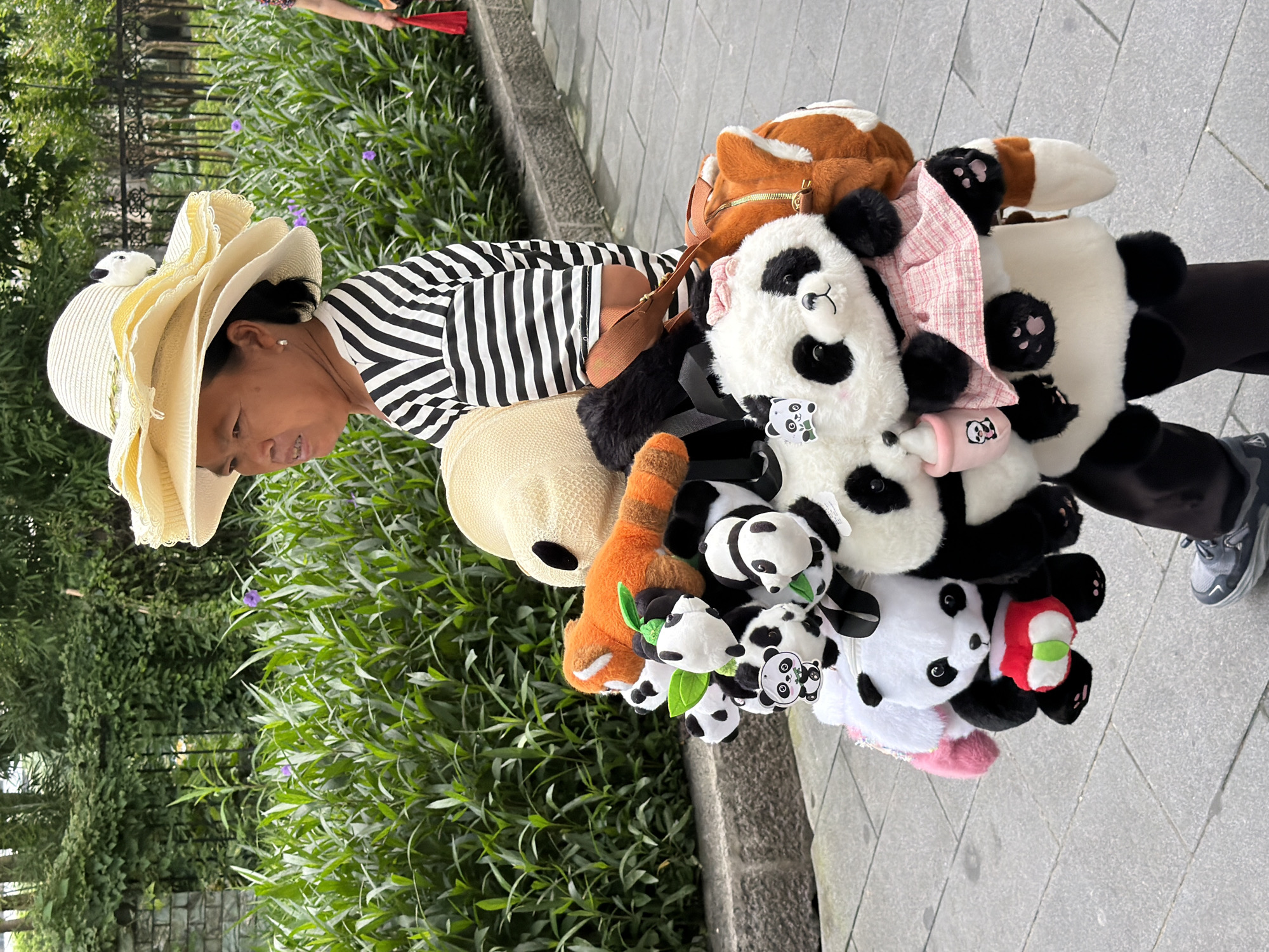 Panda plush toys carried along a Jiulongpo path