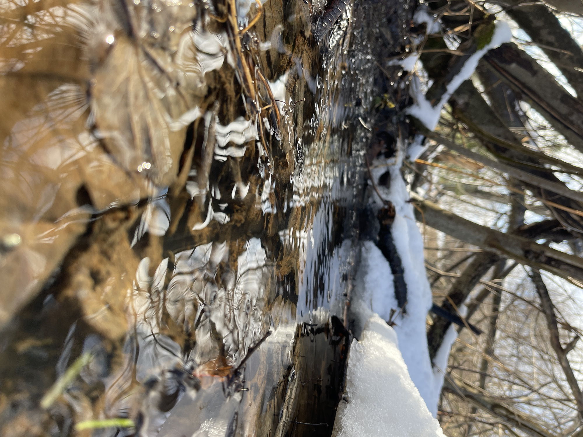 Spring nature scenes documented in rural Zhigalki, Russia