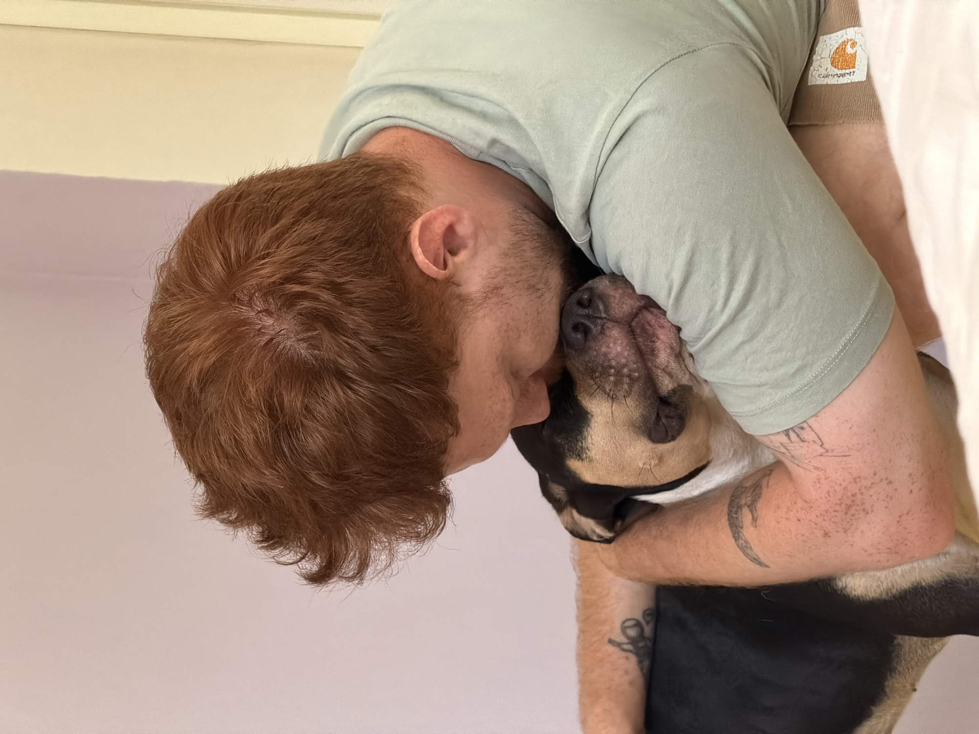 Pit bull moment in Tel Aviv, July morning