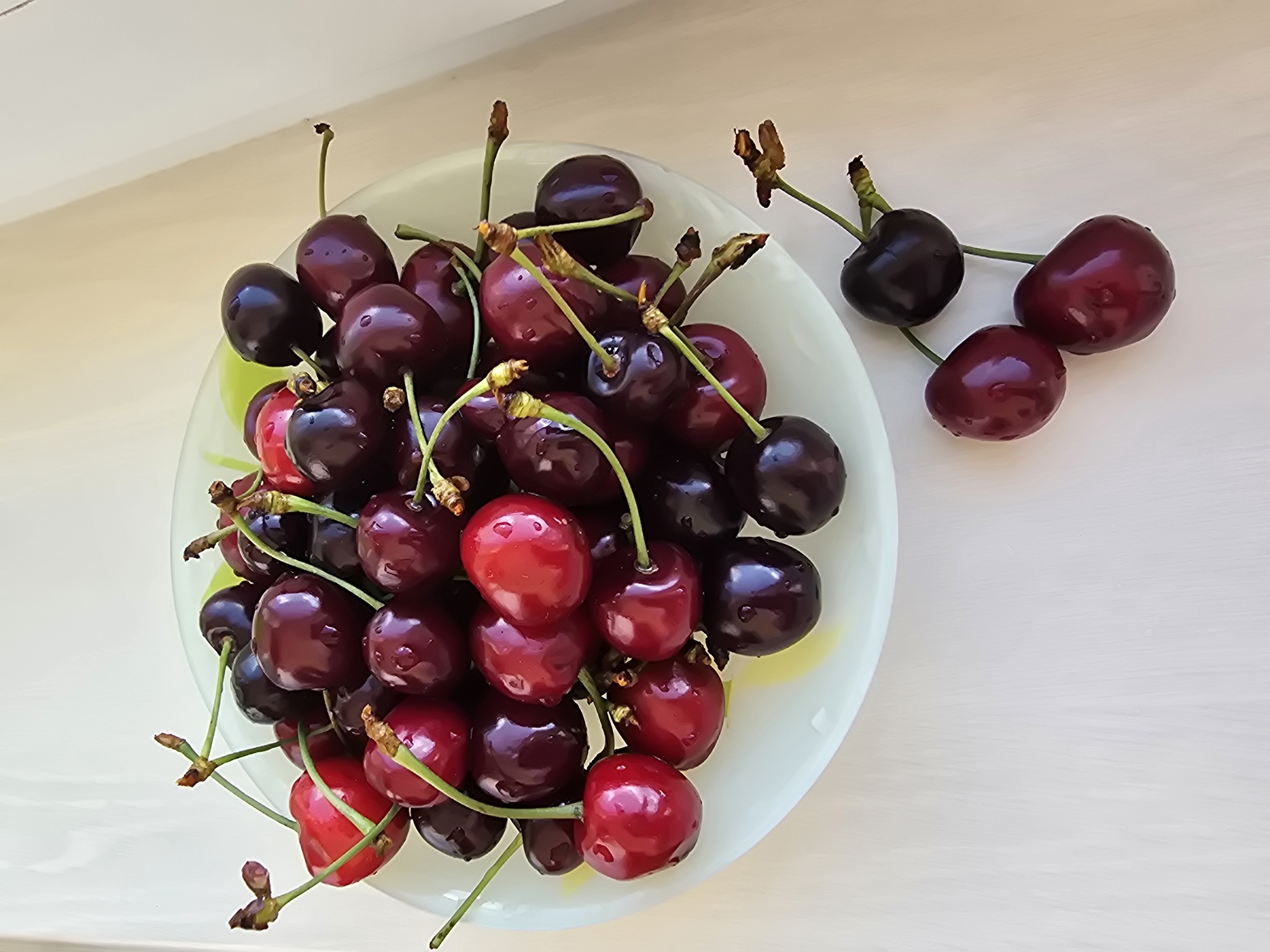 Morning moments with cherries, cat, and Ukrainian coffee cup