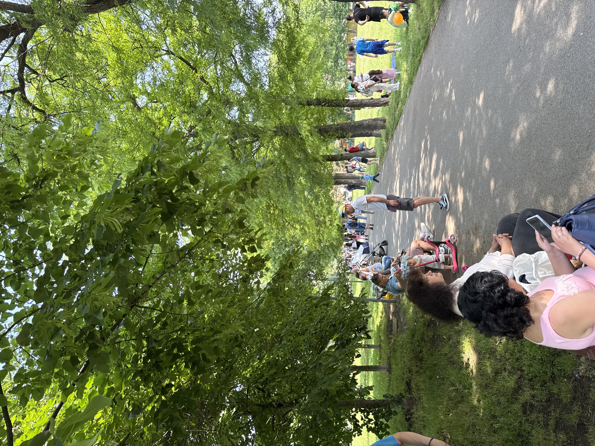 Community fair brings families together in sunny Sofia park