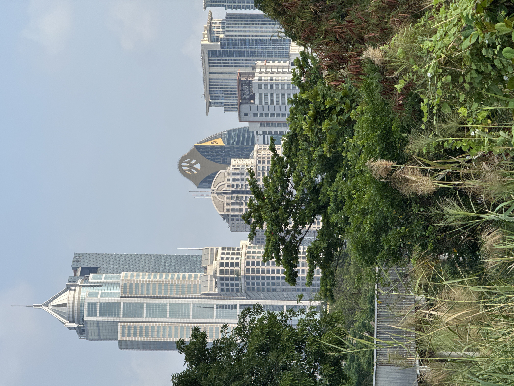 Bangkok skyline viewed through foliage in early morning hours