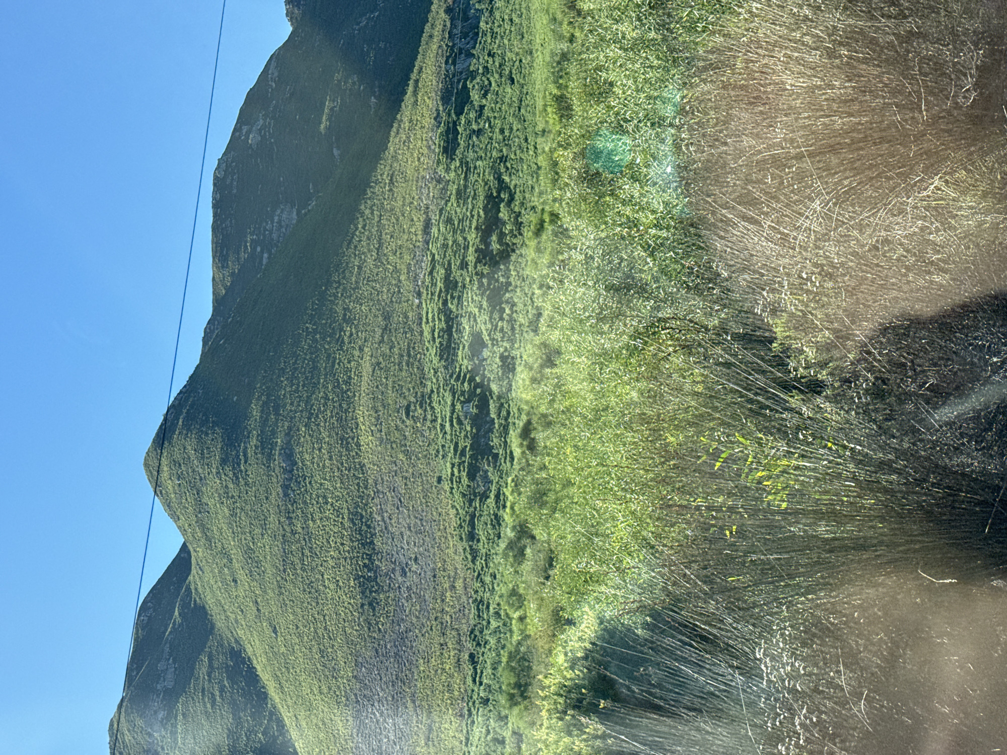 Lush green mountain observed in Overstrand, South Africa