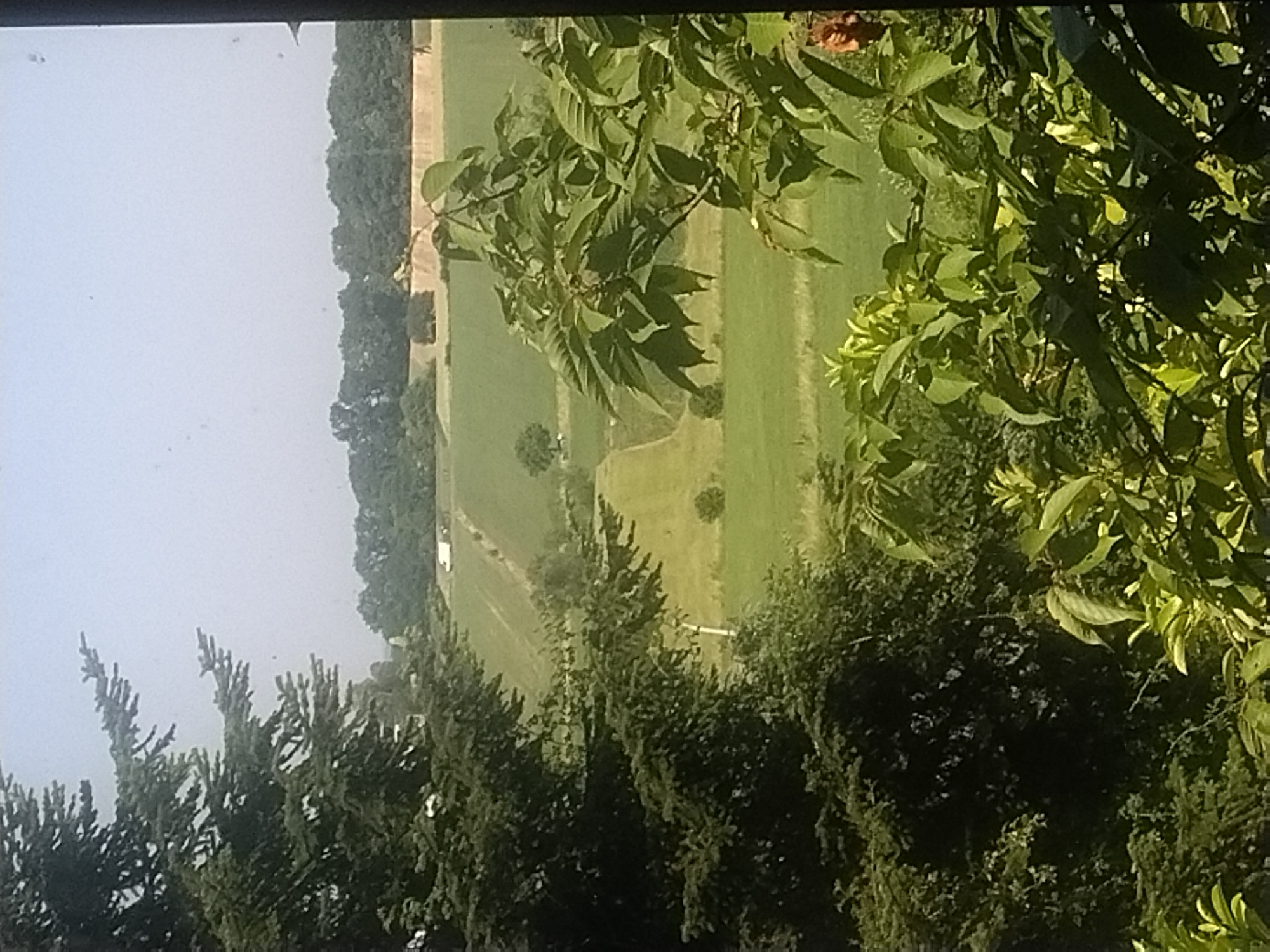 Fields, flight, and glowing signage in Leudelange