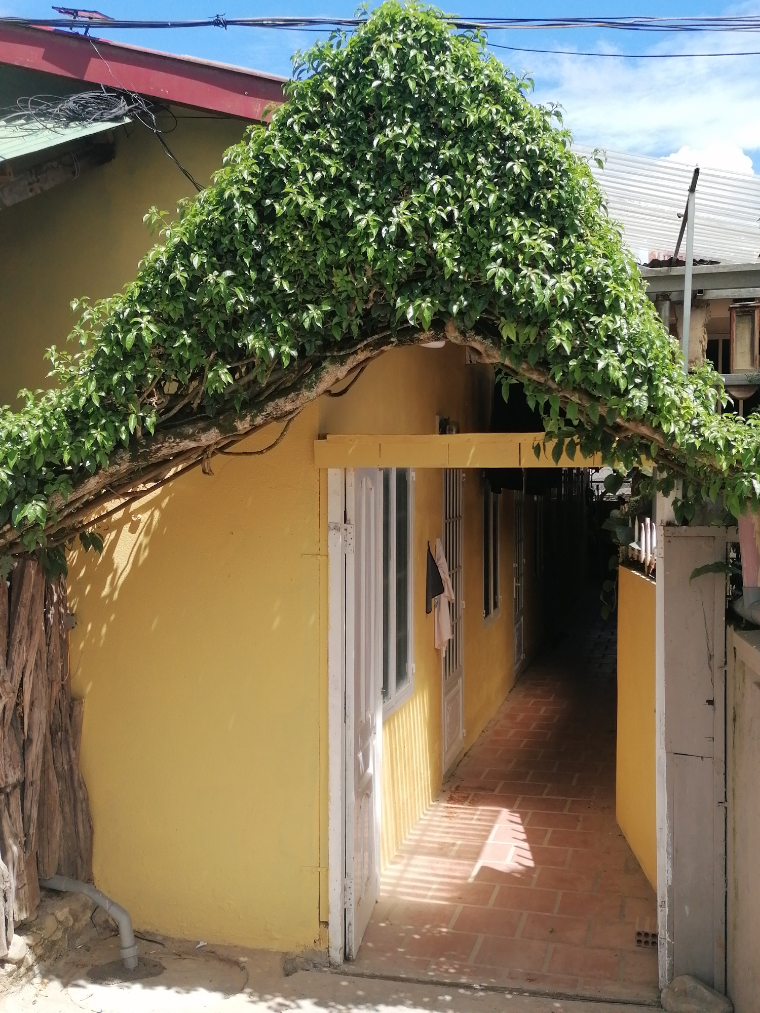 Morning roam through Đà Lạt's Lâm Viên neighborhood streets and villas