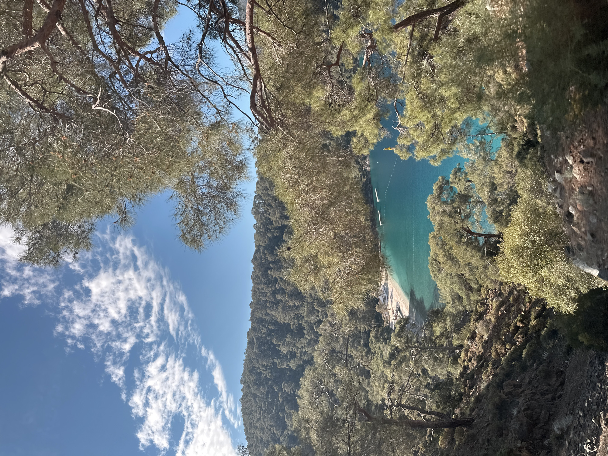 Coastal forest views captured in Fethiye, Turkey