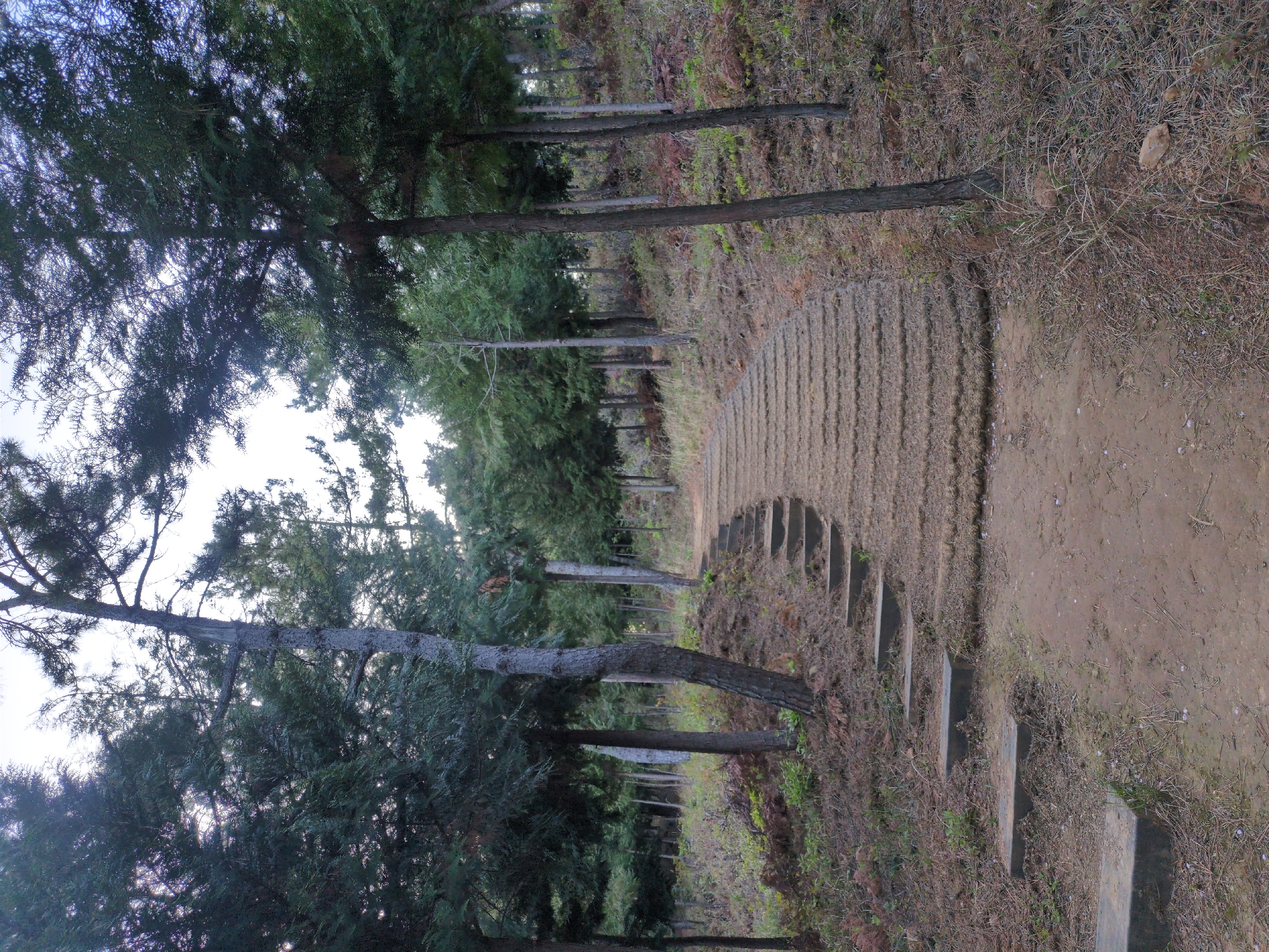 Morning walk documented across Ulsan parks and harbor areas