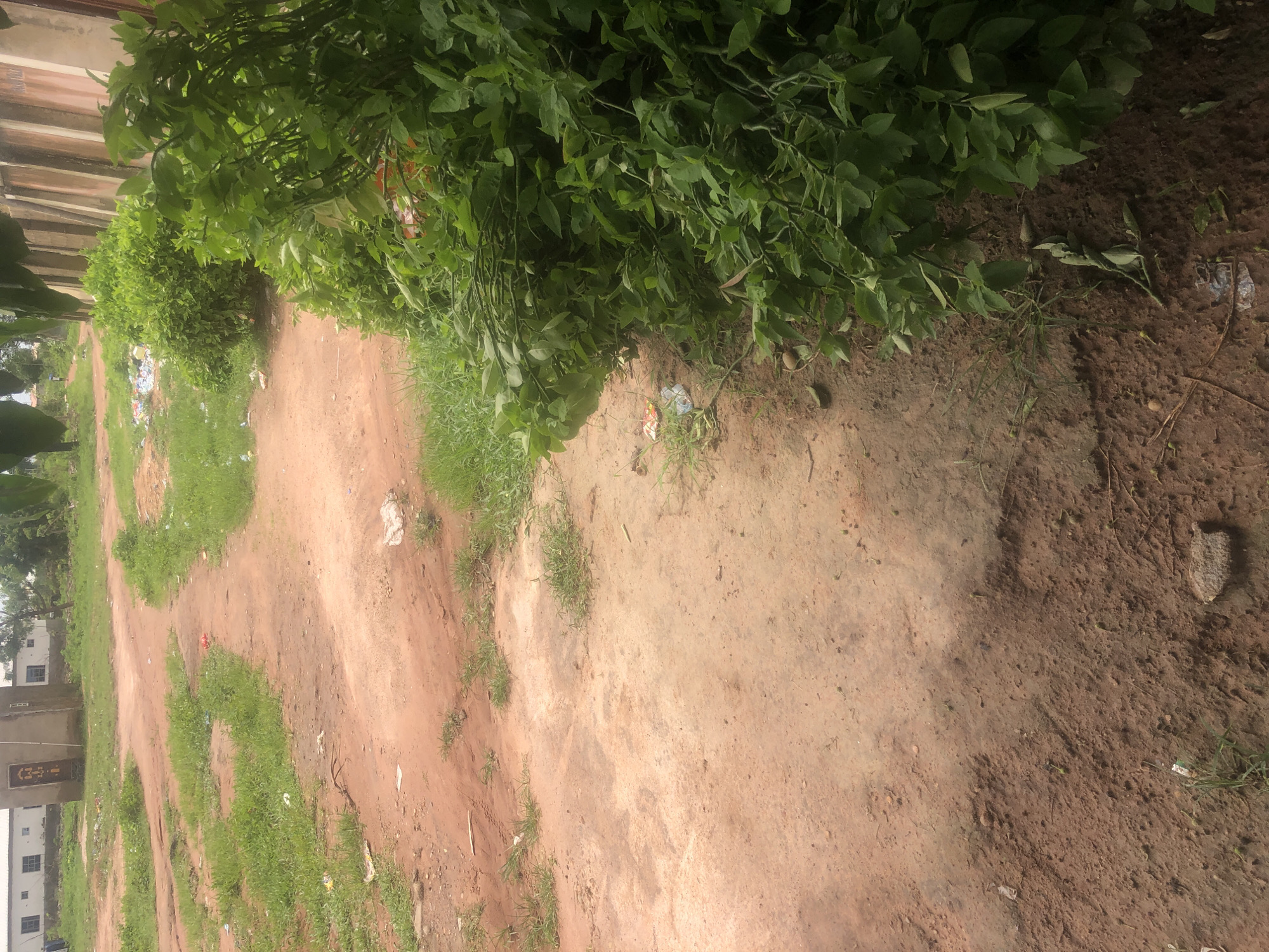 Street scenes documented across Wukari, Nigeria during morning hours