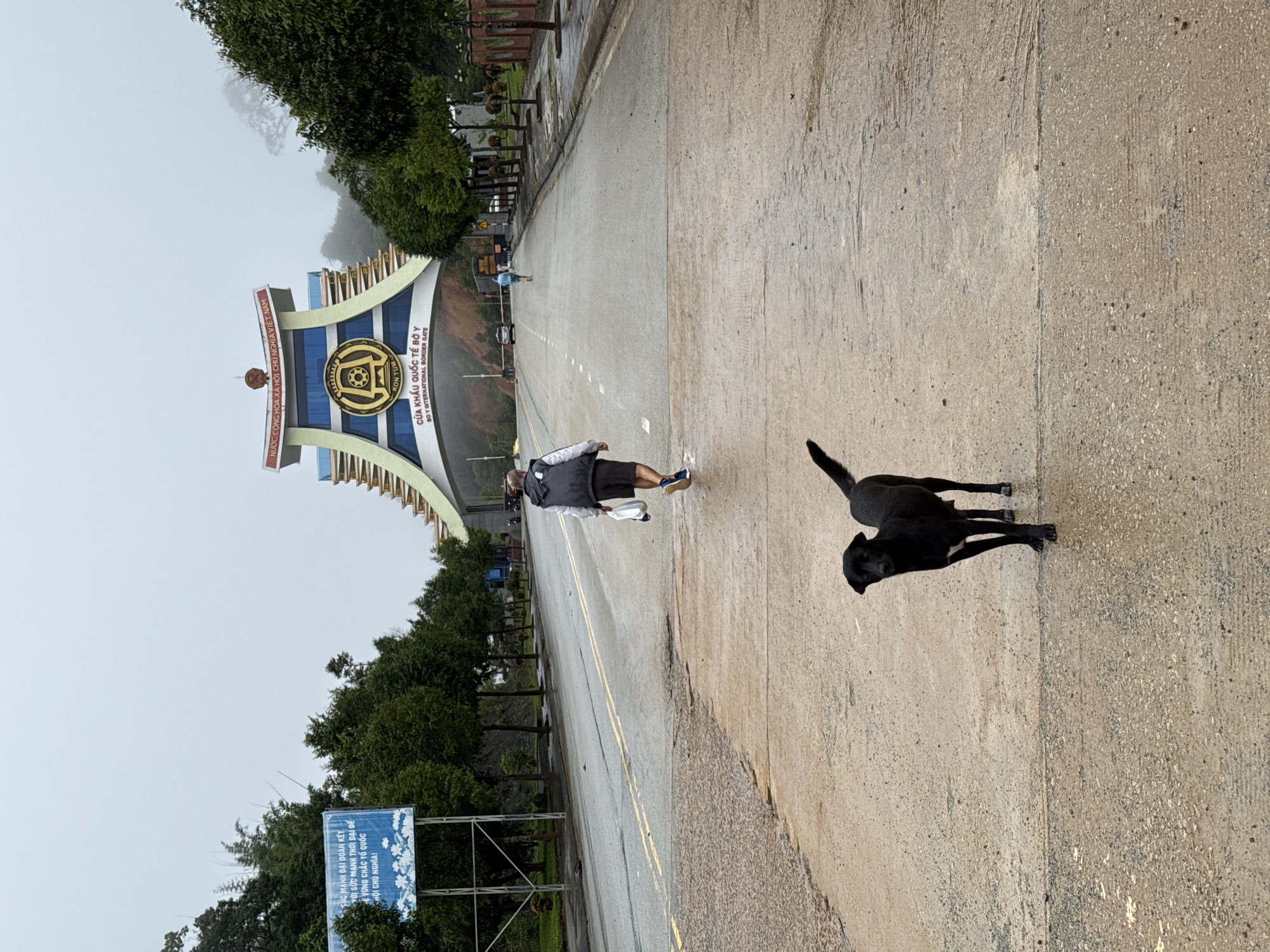 Black dog on a wet road, misty rural Bo Y