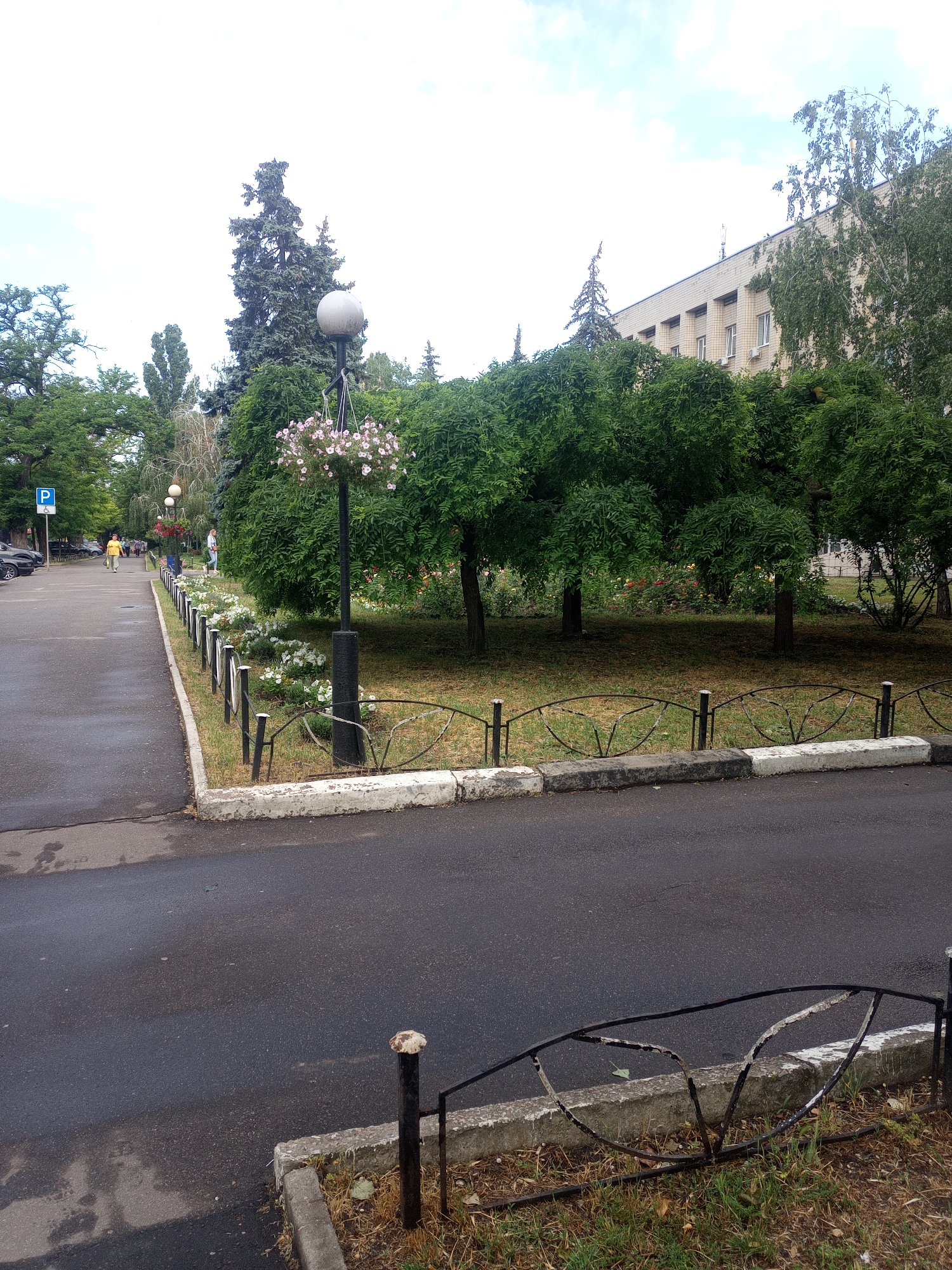 Rainy June morning in Odesa, streets and gardens in bloom