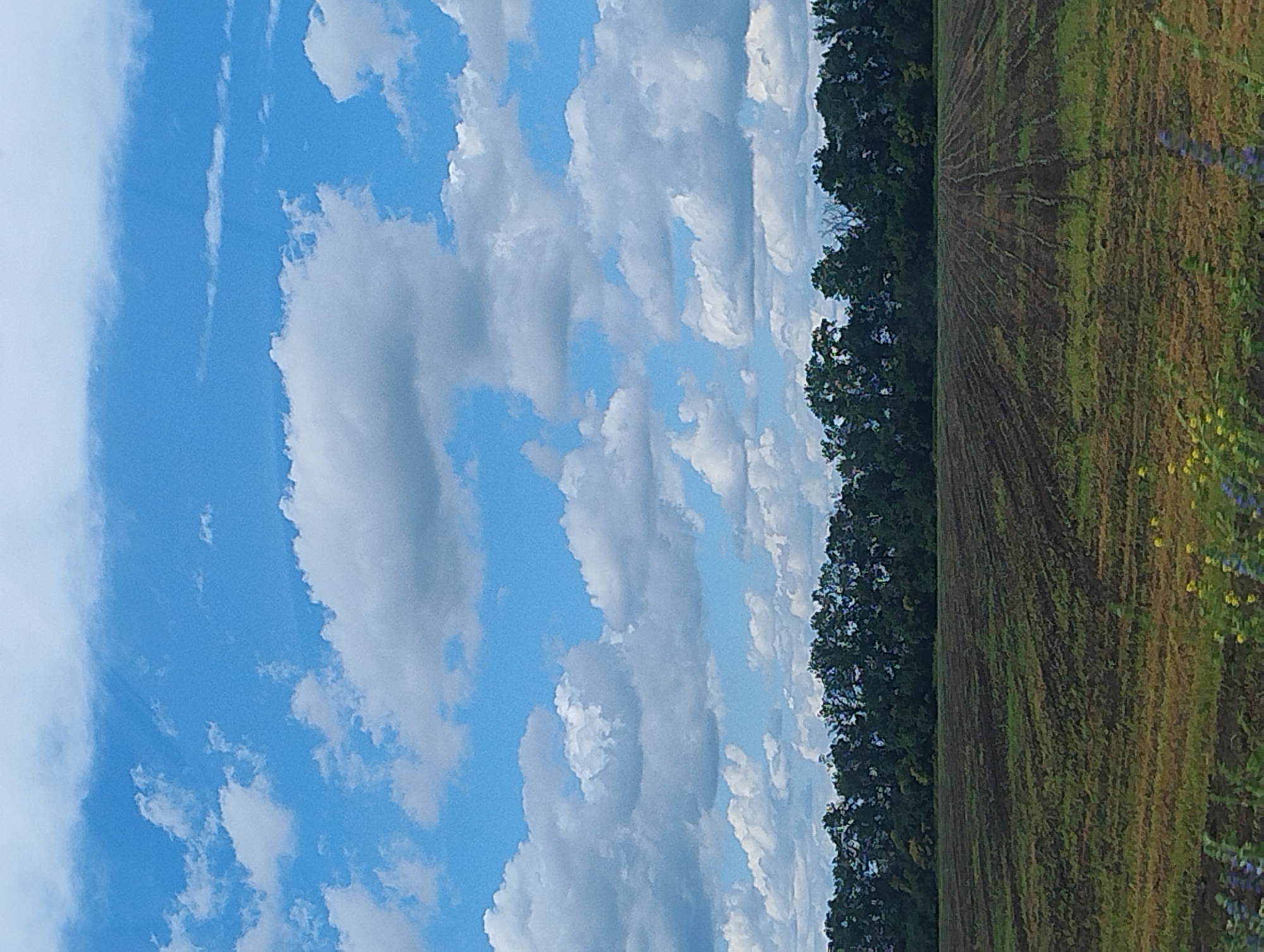 Rural landscapes and highways under cloudy skies