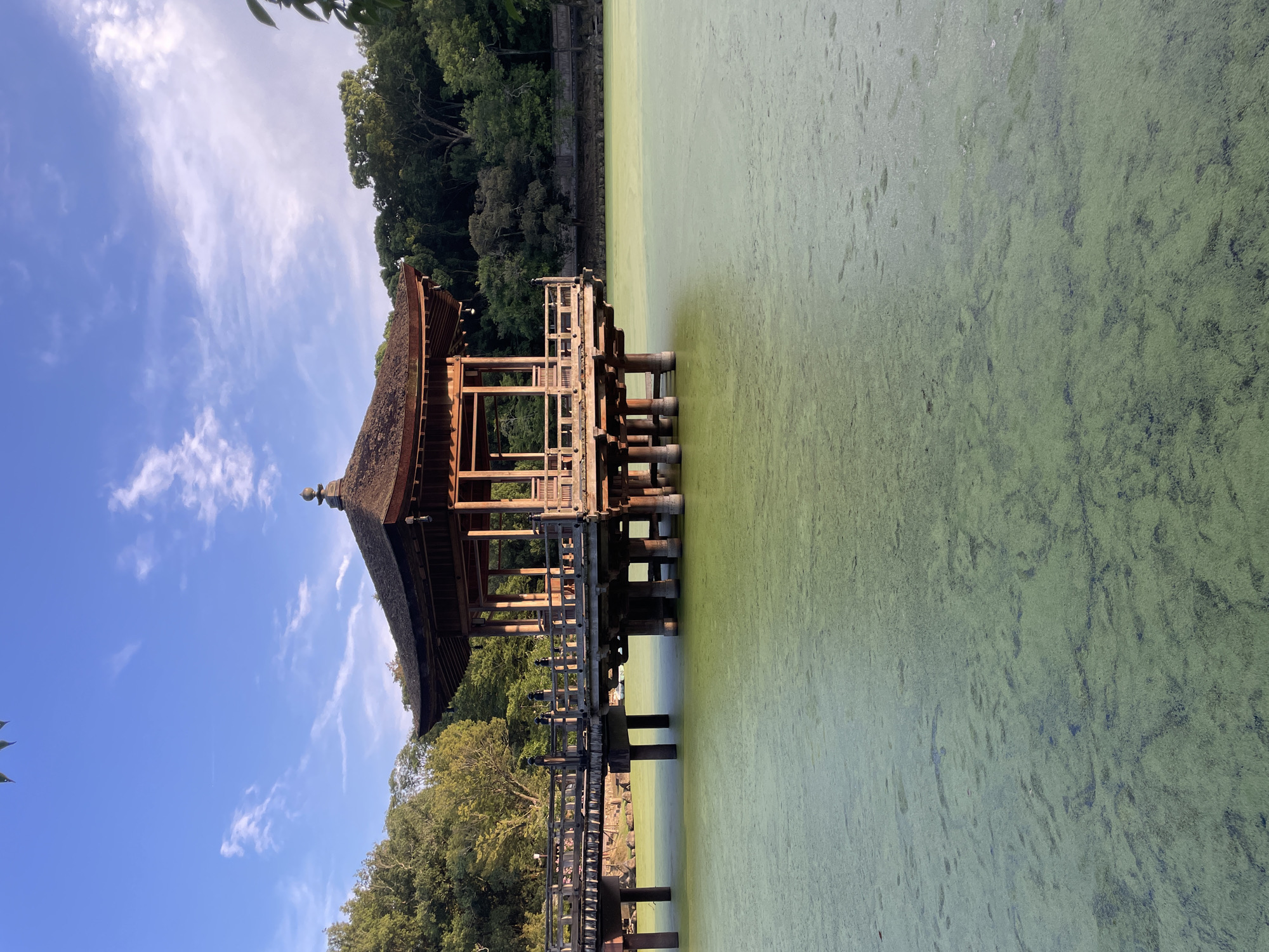 Ukimidō pavilion floats above algae-covered pond in Nara Park