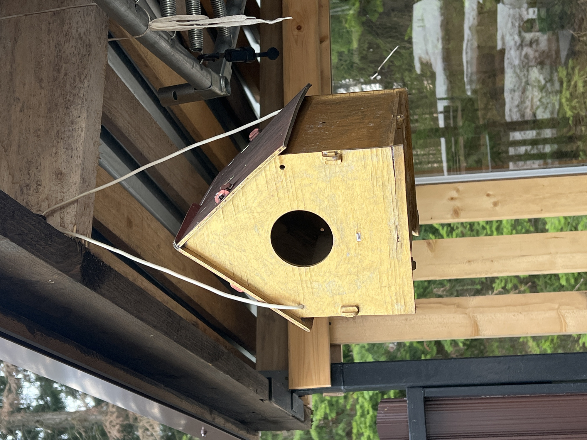 Quiet morning moments across Russia: birdhouse, sleeping baby, selfie