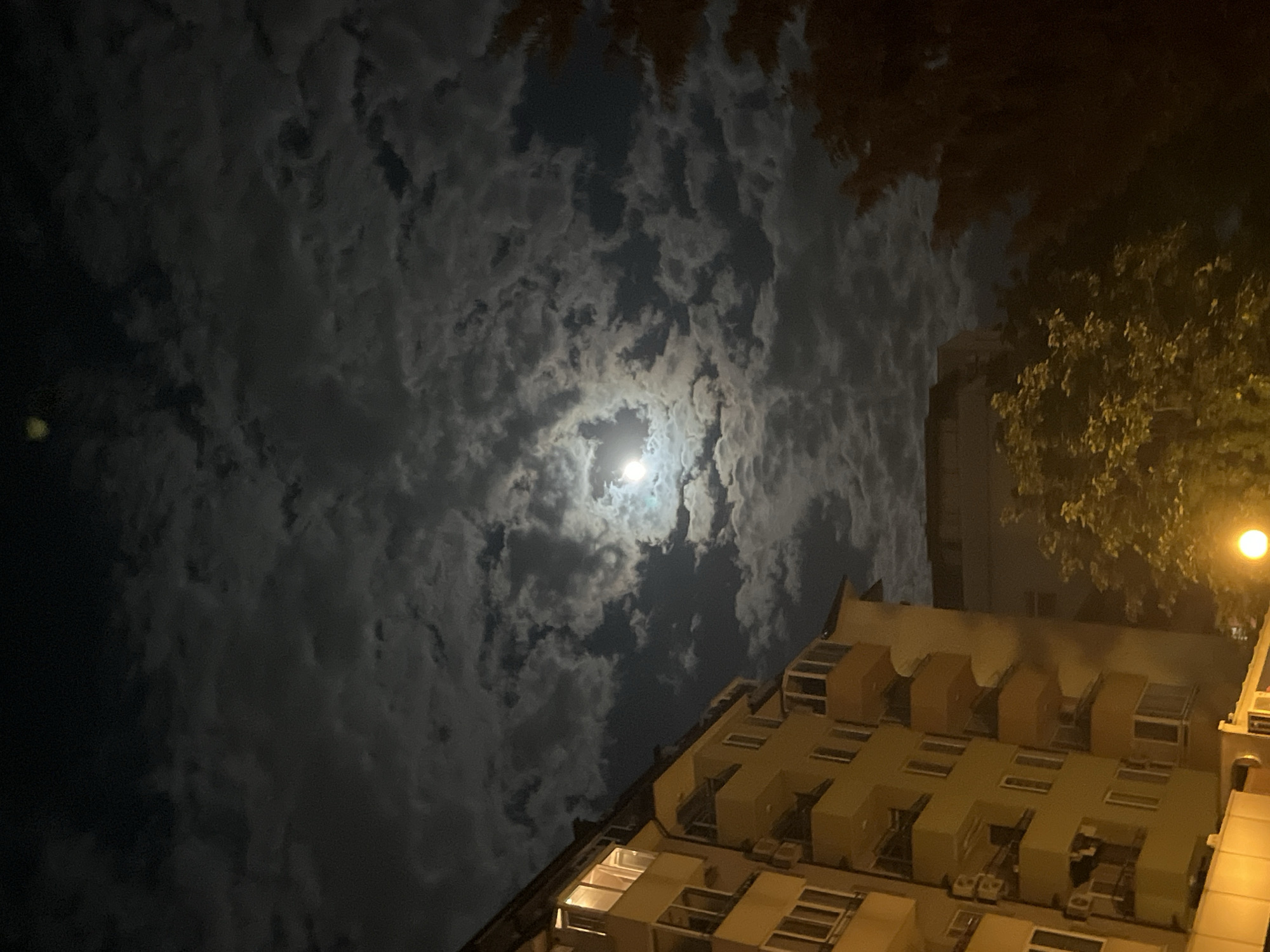 Witness captures moonlit night scene with urban building