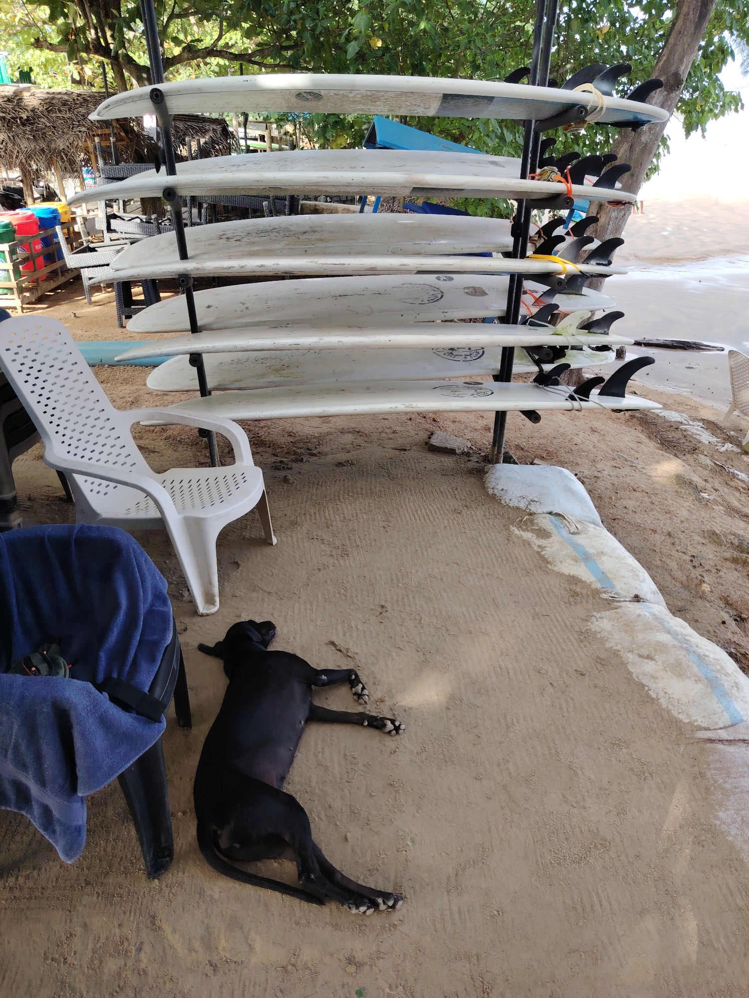 Beach surfboard rental stations documented during morning hours