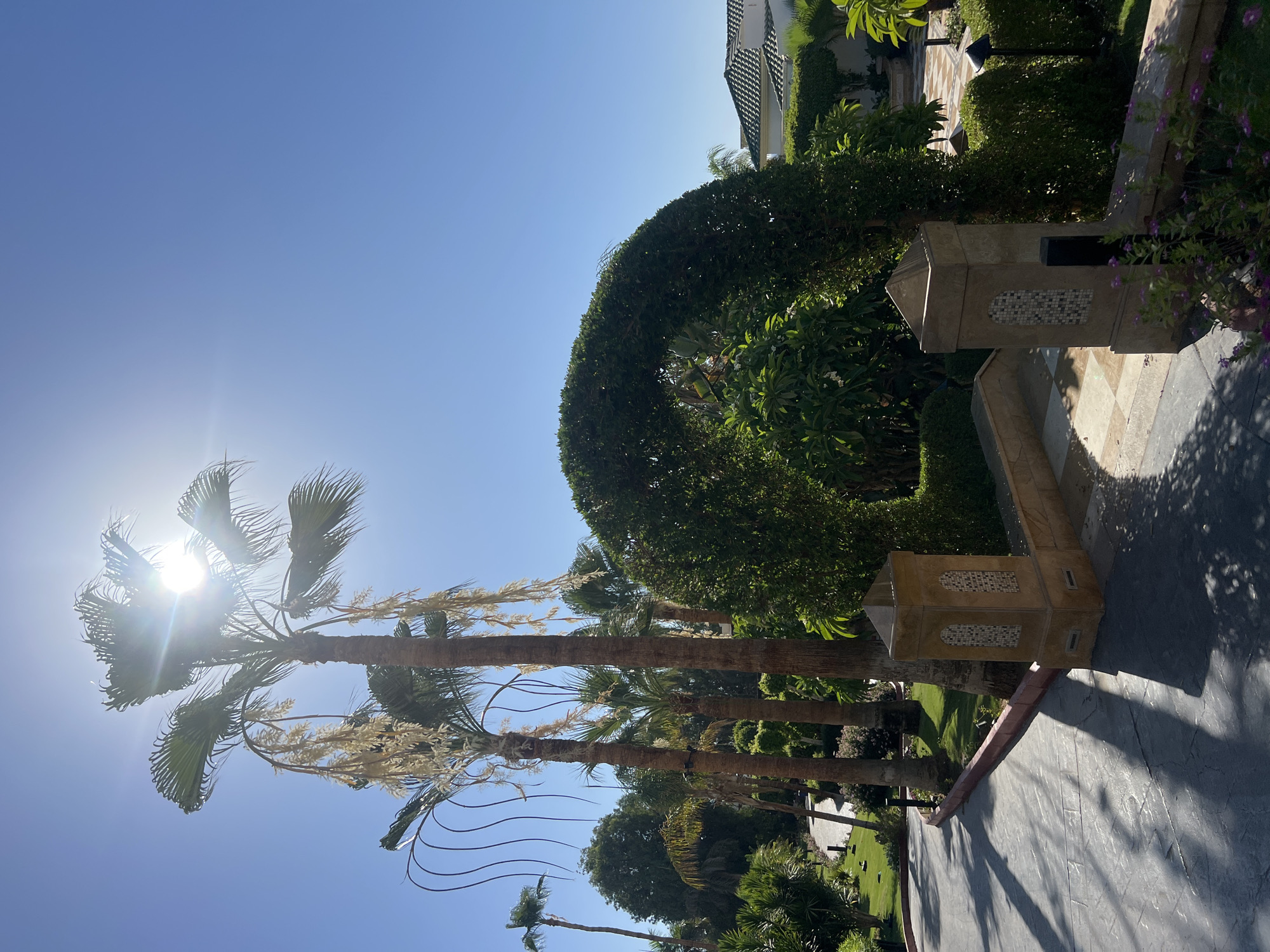 Morning stroll through a Sharm El Sheikh resort
