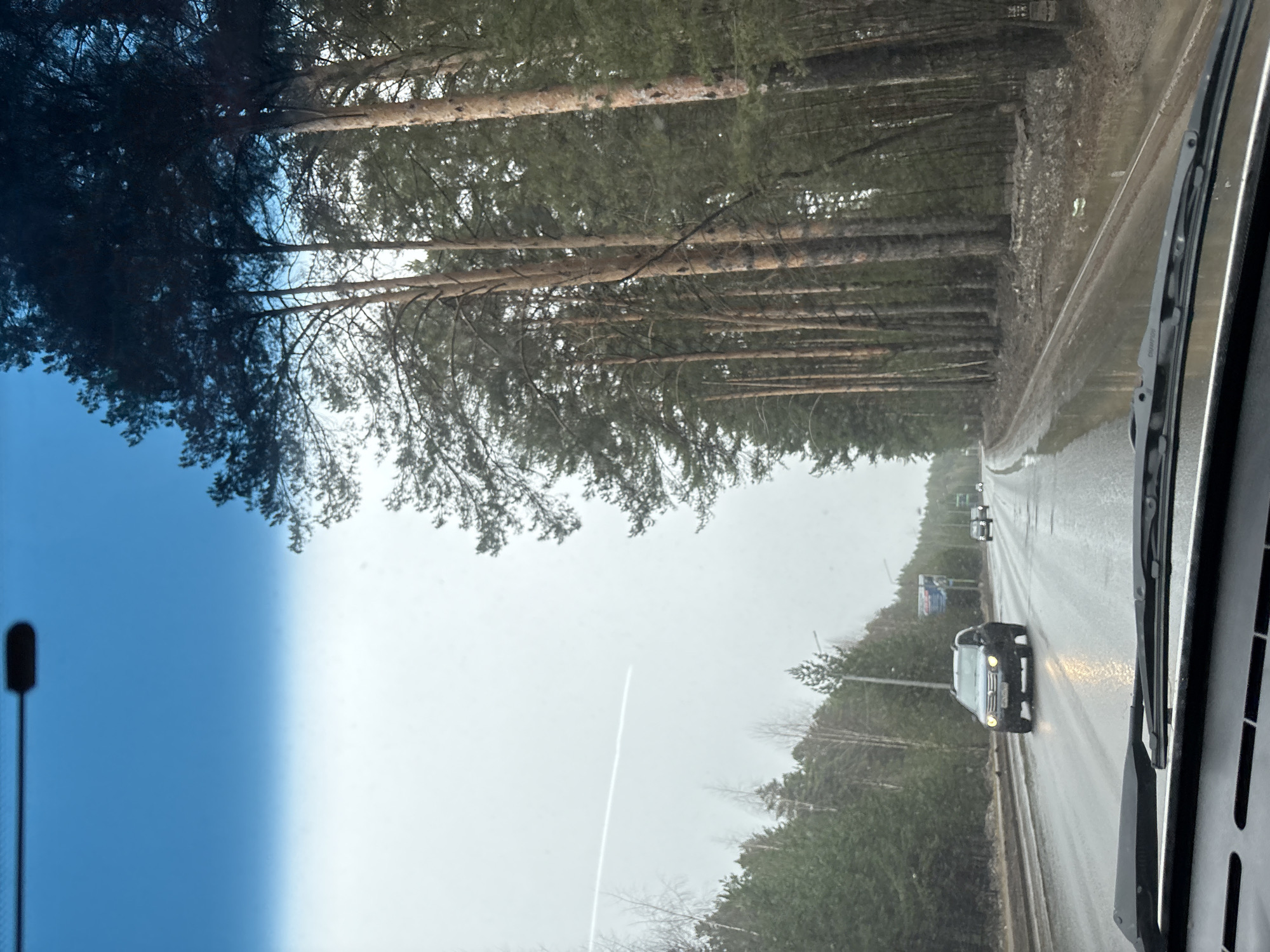 Morning travel through forested roads in Chaikovsky, Russia