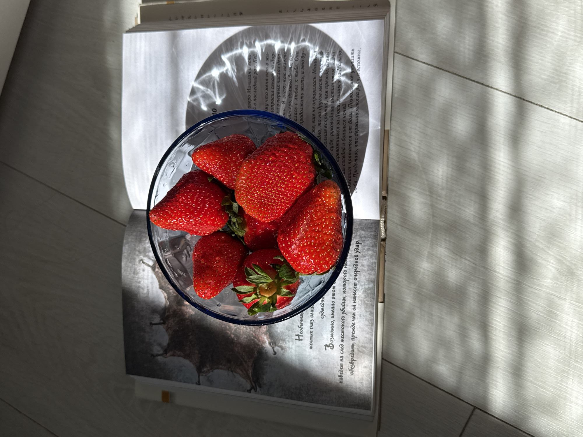 Person documents strawberry snack and reading session in sunlight