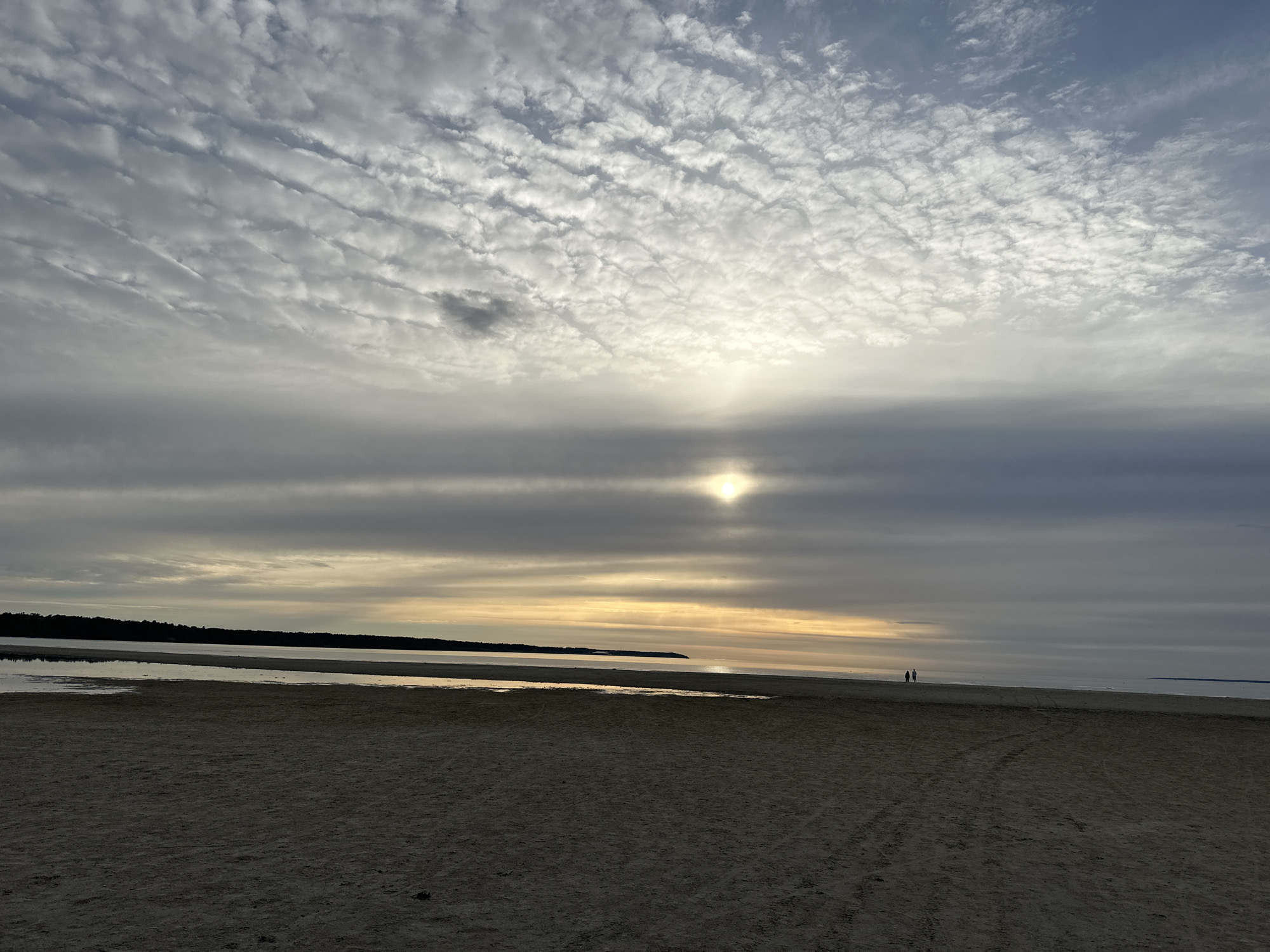 Evening stroll documented through Tallinn's beaches and parks