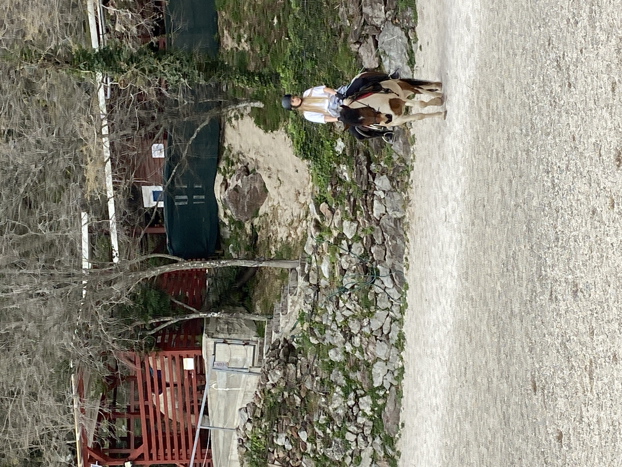 Equestrian training session captured in rural Montenegro