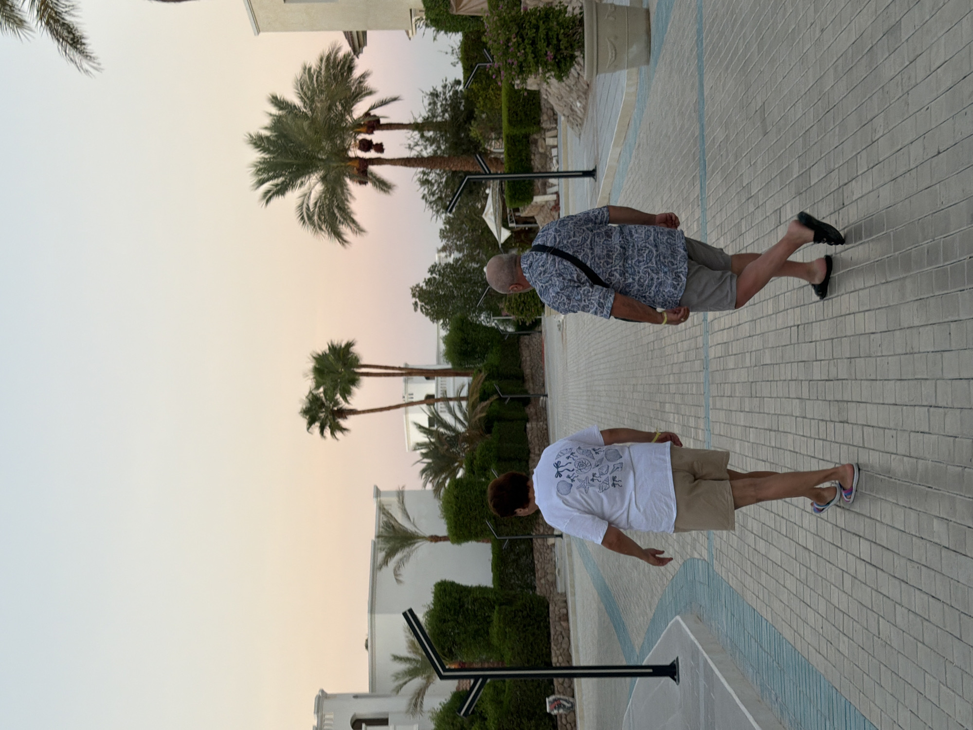 Sunset evening at a Sharm El Sheikh resort, cats and all