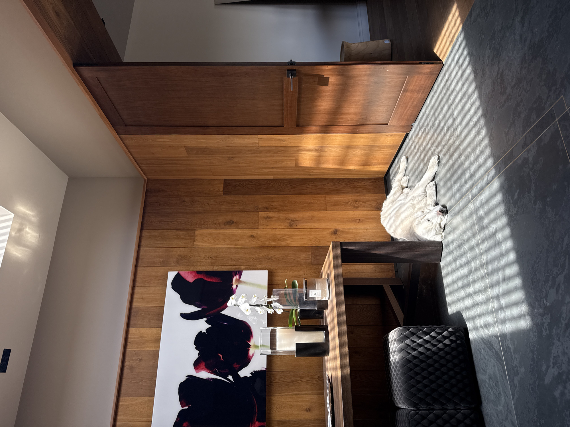 Indoor scene with mixed flooring captured in Mexico City