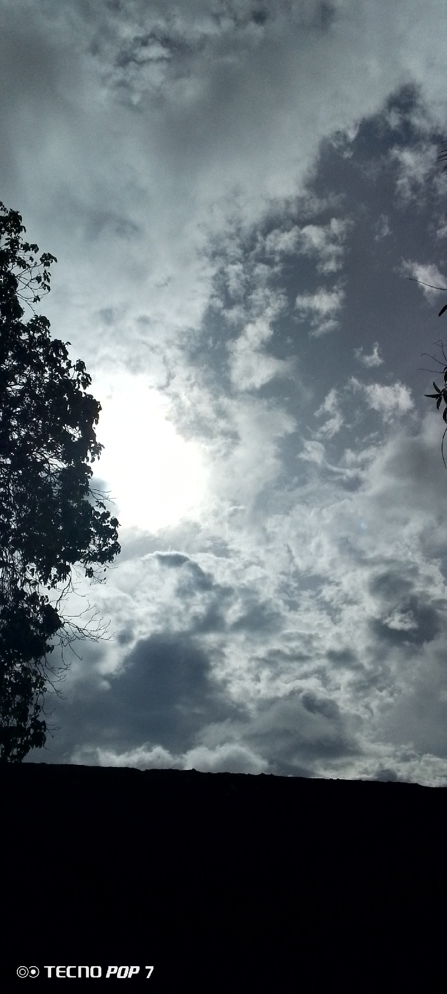 Witness documents afternoon sky through trees in Venezuelan courtyard