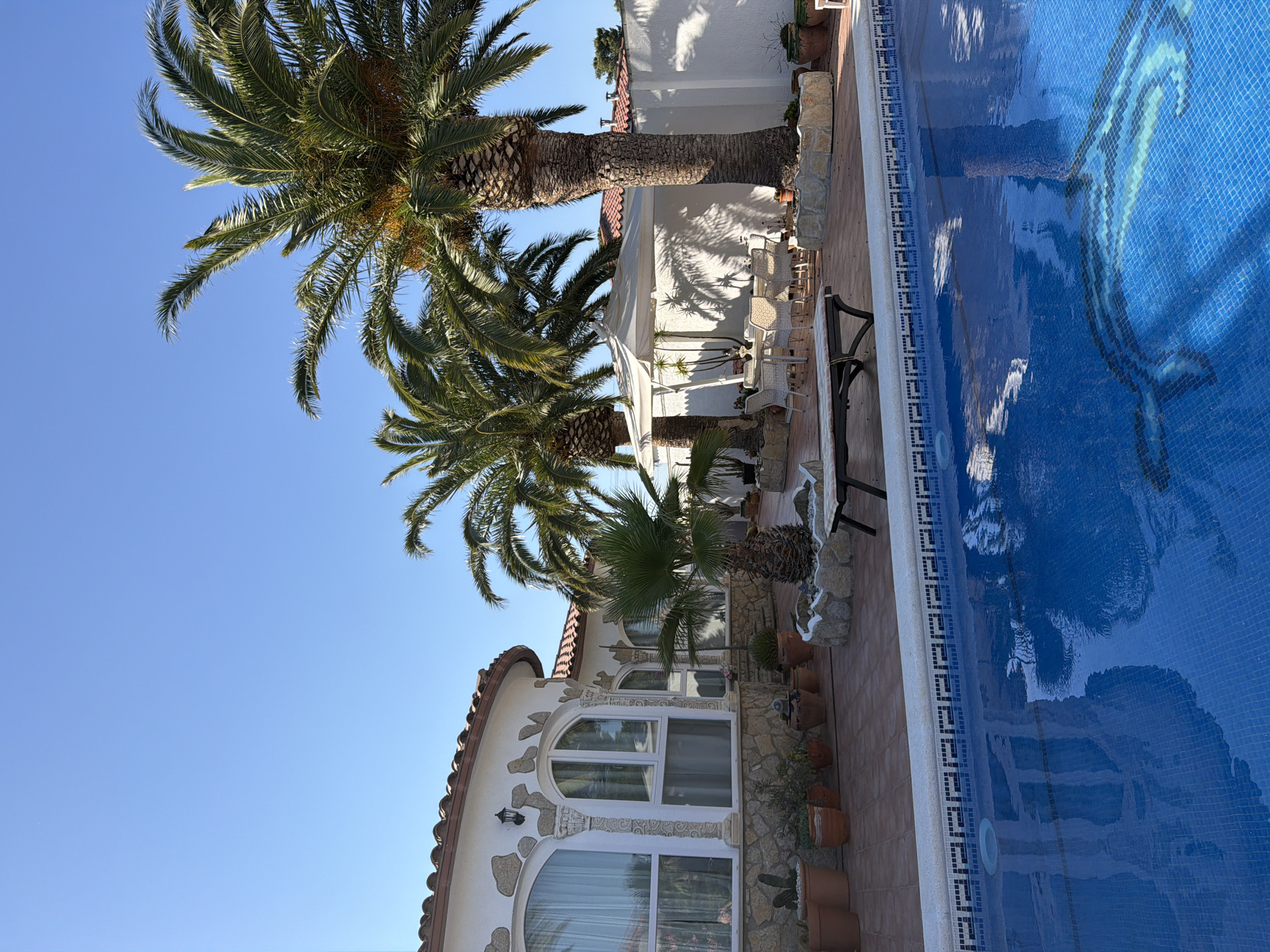 Decorative pool with dolphin design observed in Mont-roig del Camp