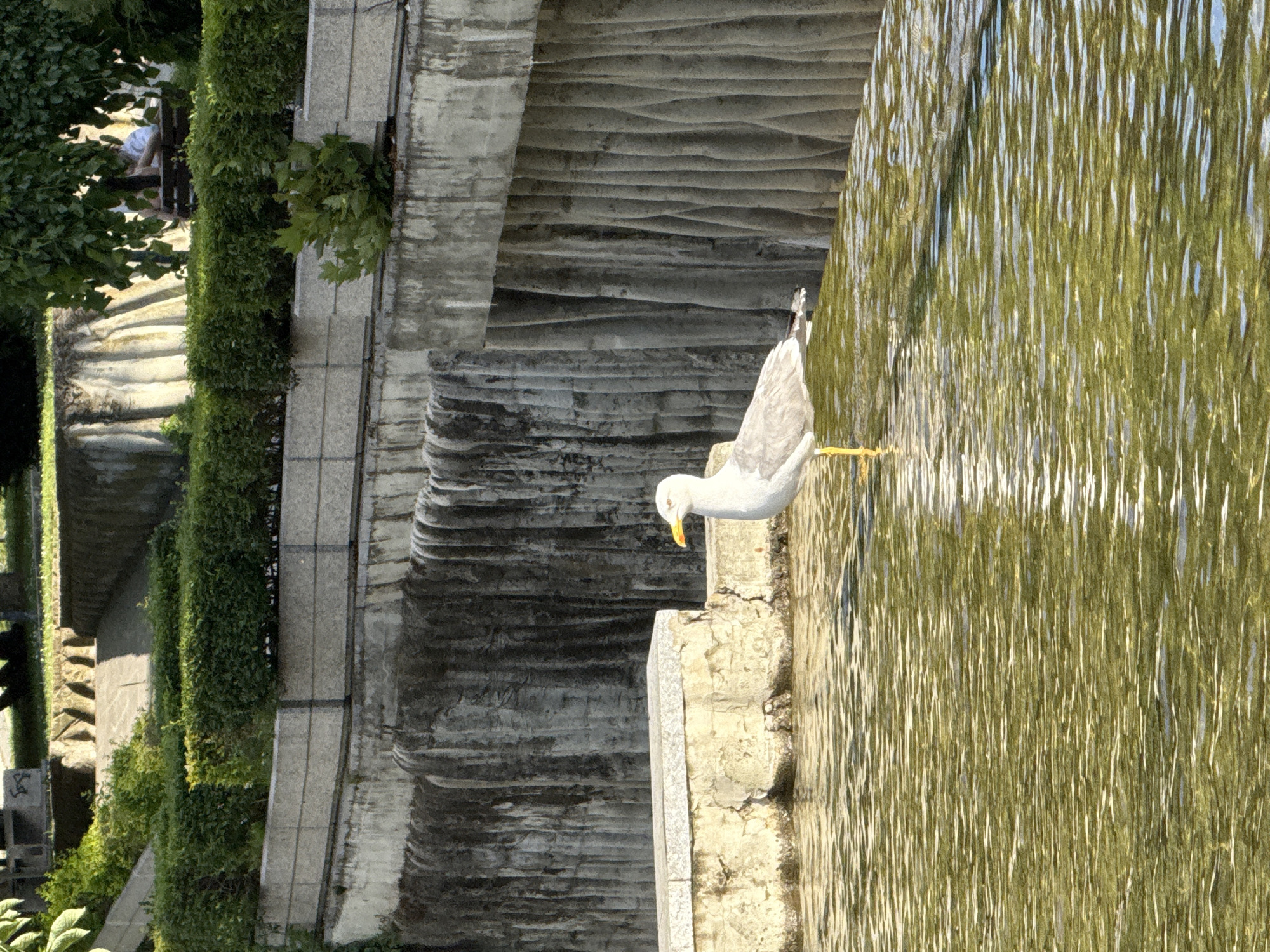 Afternoon park visit documented in Pleven, Bulgaria