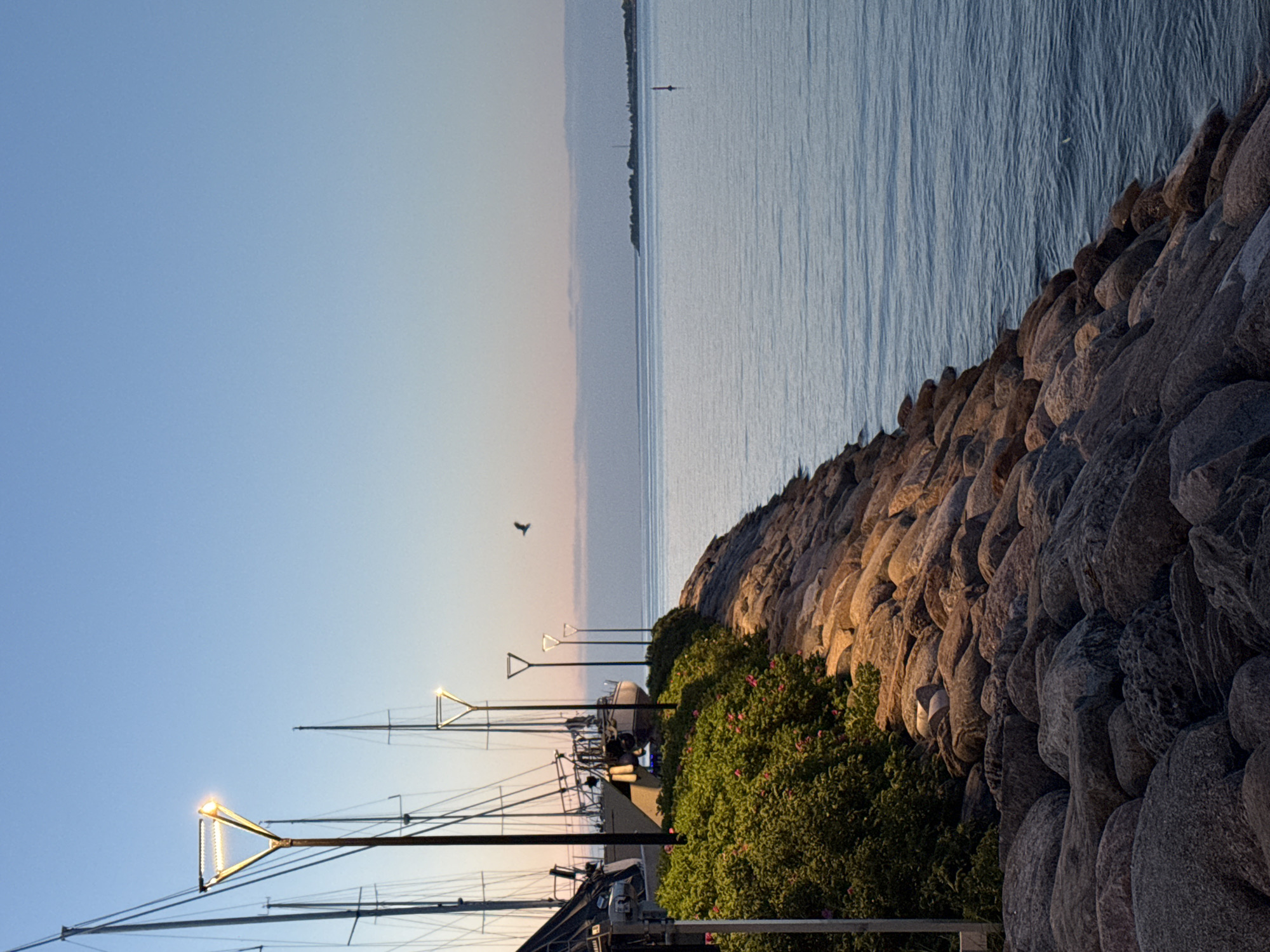Witness documents twilight scenes across Tallinn during 12-minute evening period