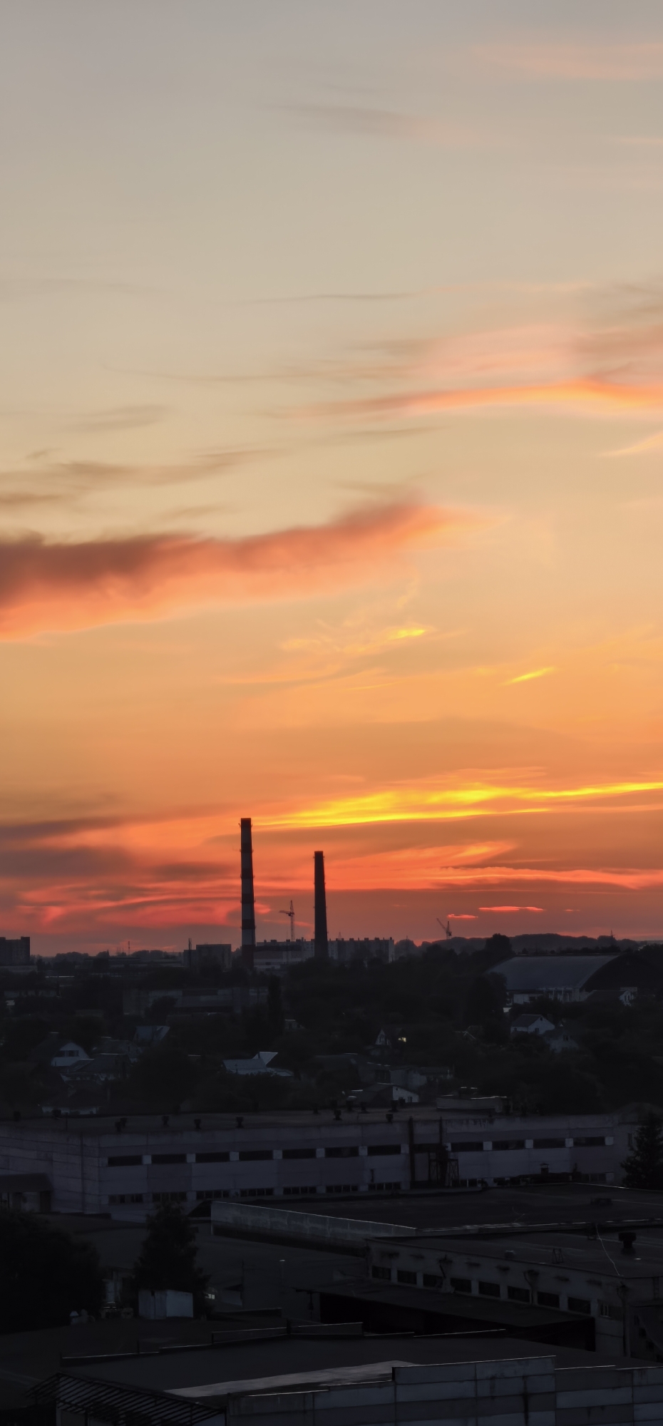 Summer evening in Homyel: city skylines and garden flowers