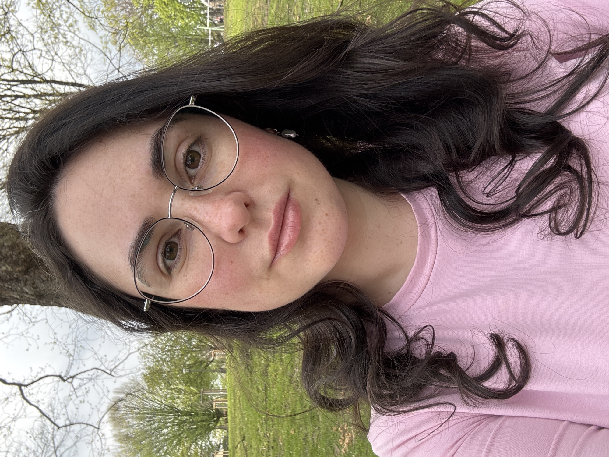 Park gathering with picnic items observed Thursday afternoon