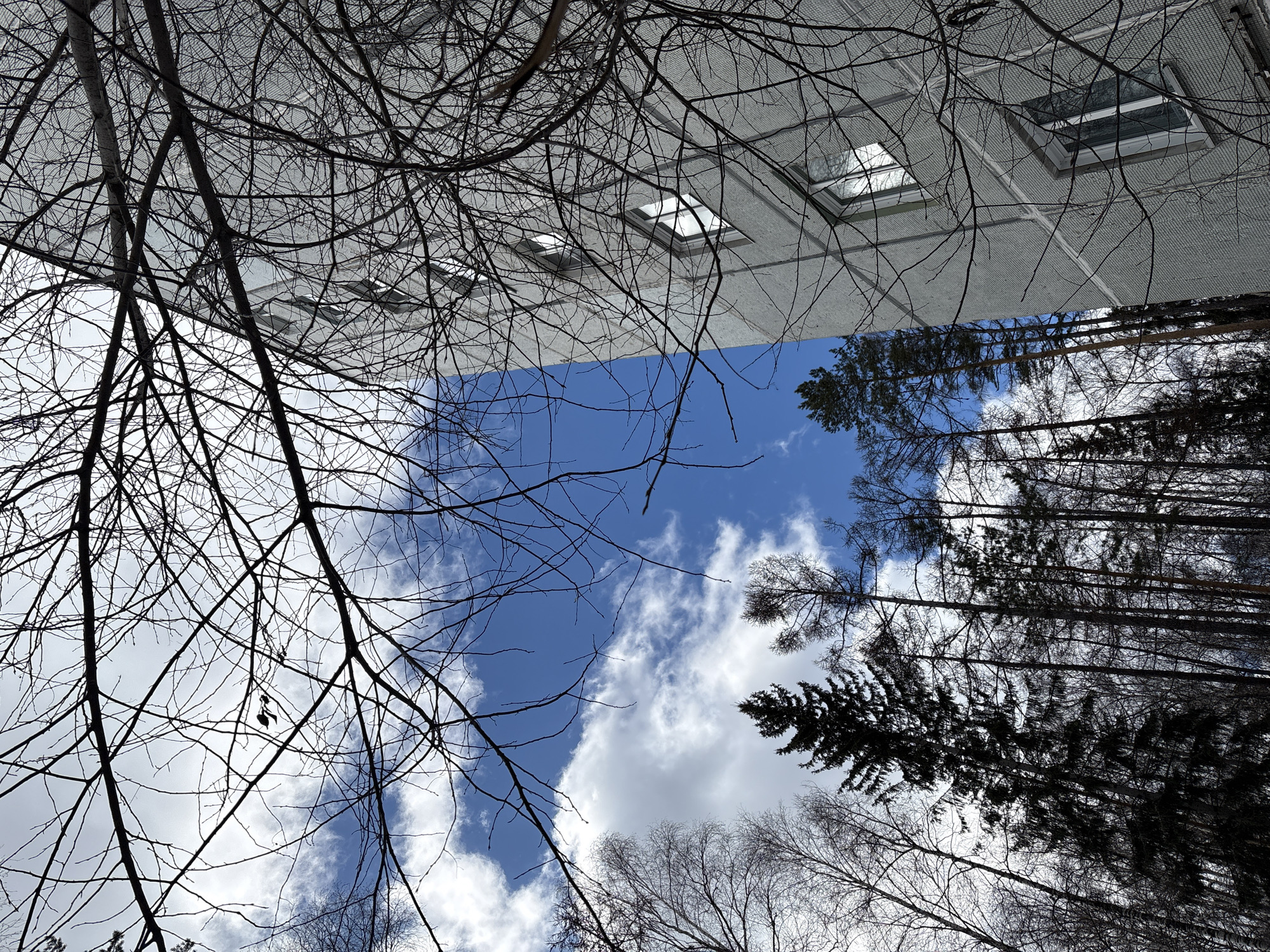 Low-angle architectural view captured in Ust-Ilimsk, Russia