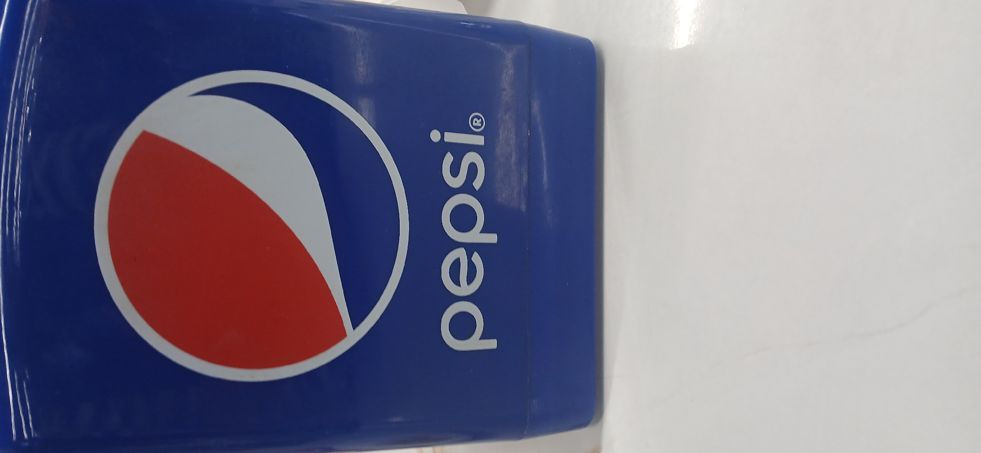Inside Mood Food café in Yakkabog, Pepsi-branded and plant-filled