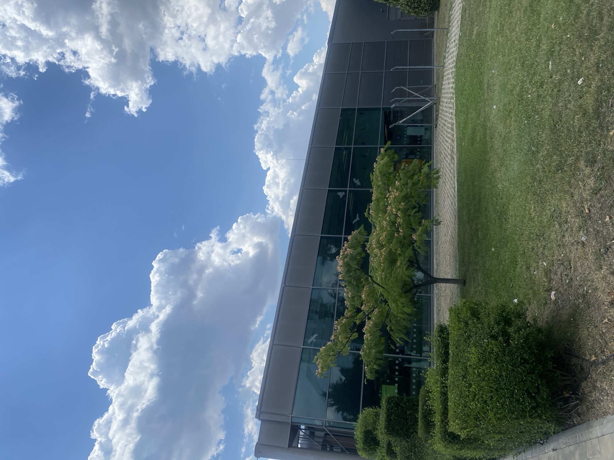 Modern glass building behind a flowering tree in Burgas