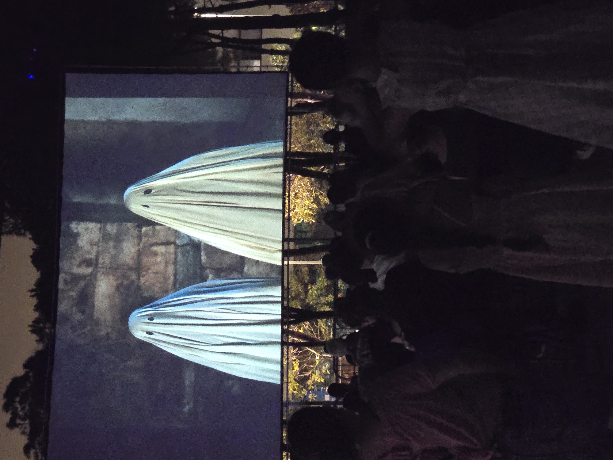 Outdoor cinema night draws a crowd in Cornellà de Llobregat
