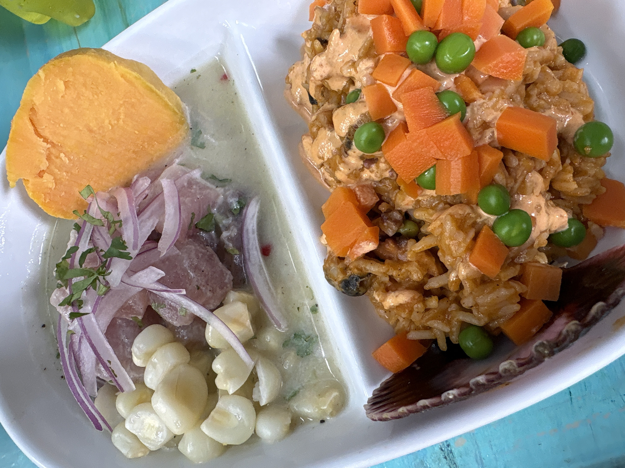 Traditional Peruvian dish photographed in Lima coastal district
