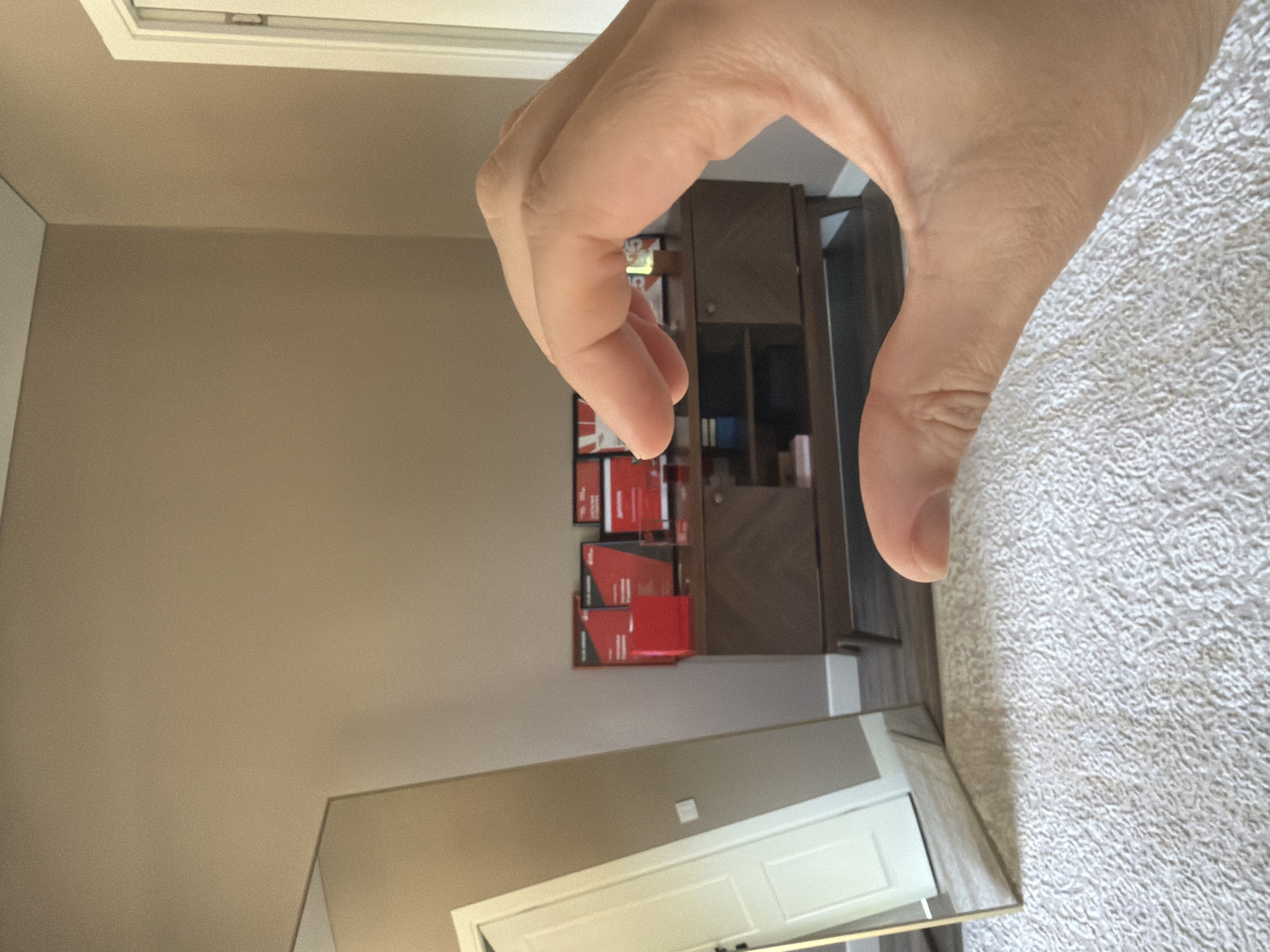 Lazy summer morning at a Malinovka home with selfies and a cat