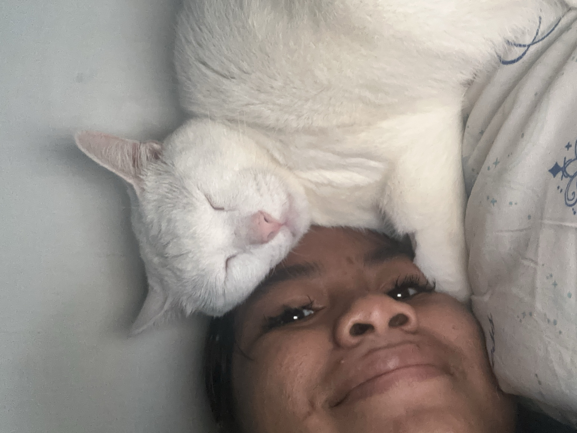 Woman and white cat share quiet morning moment in Jakarta