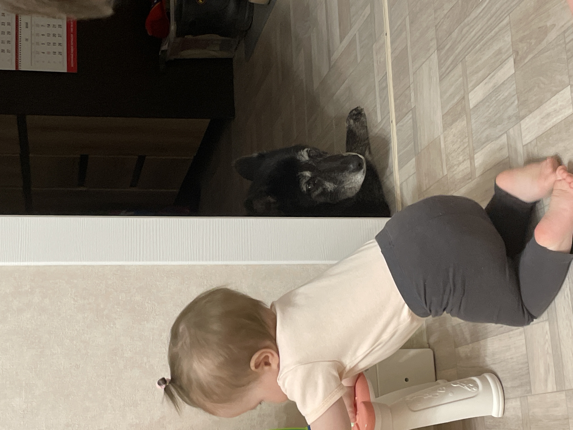 Baby girl plays with backpack on floor in Chaikovsky
