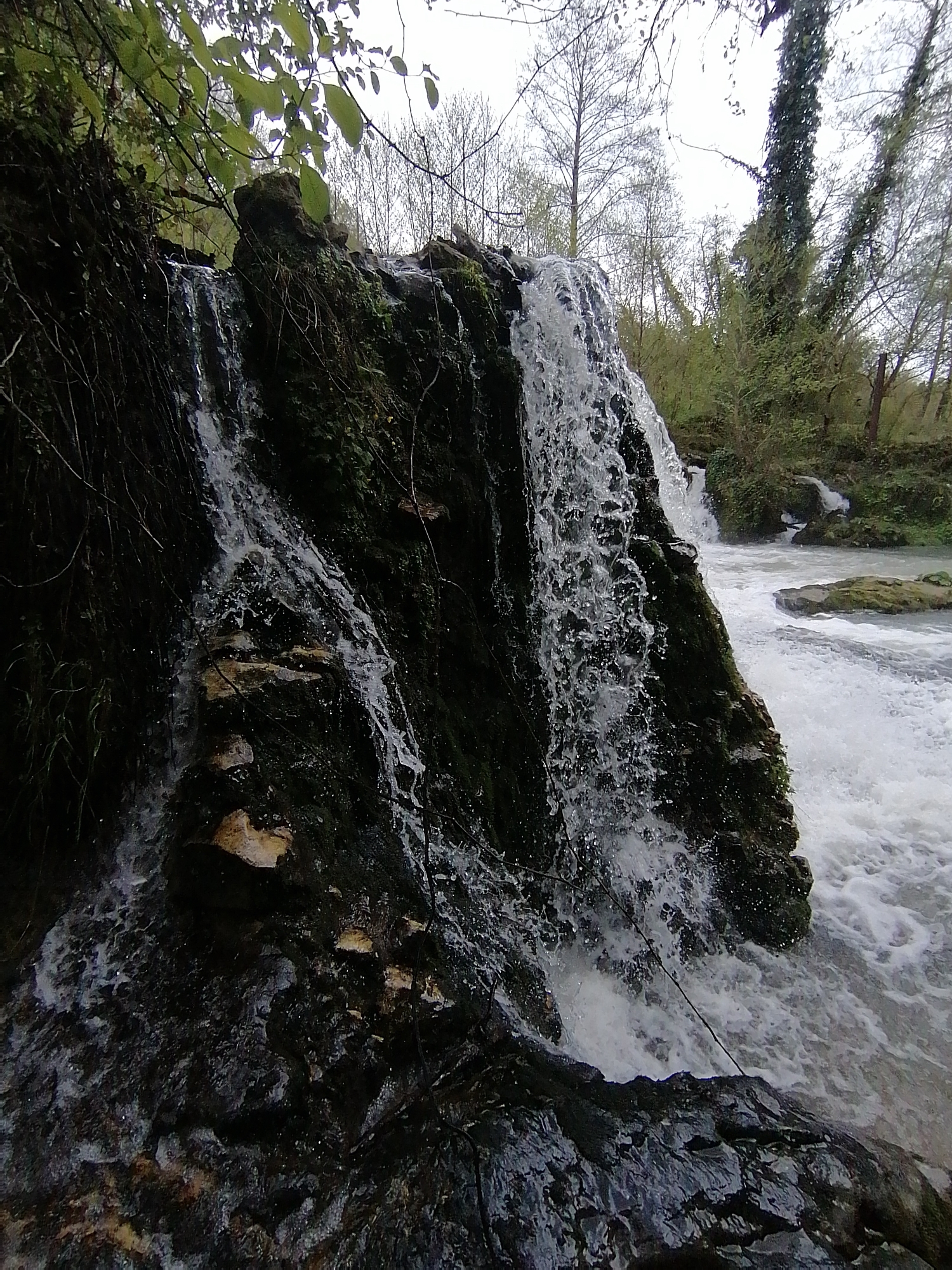 Morning nature documentation captures waterfalls, streams, indoor domestic scene