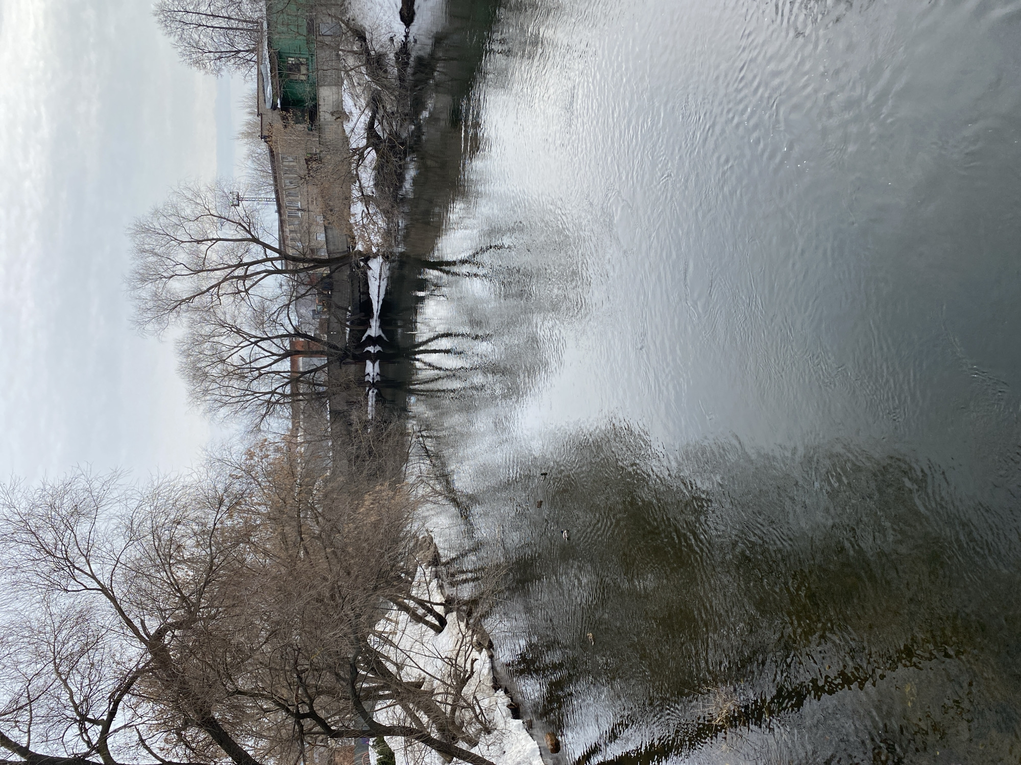 Winter river scene documented in Izhevsk, Russia