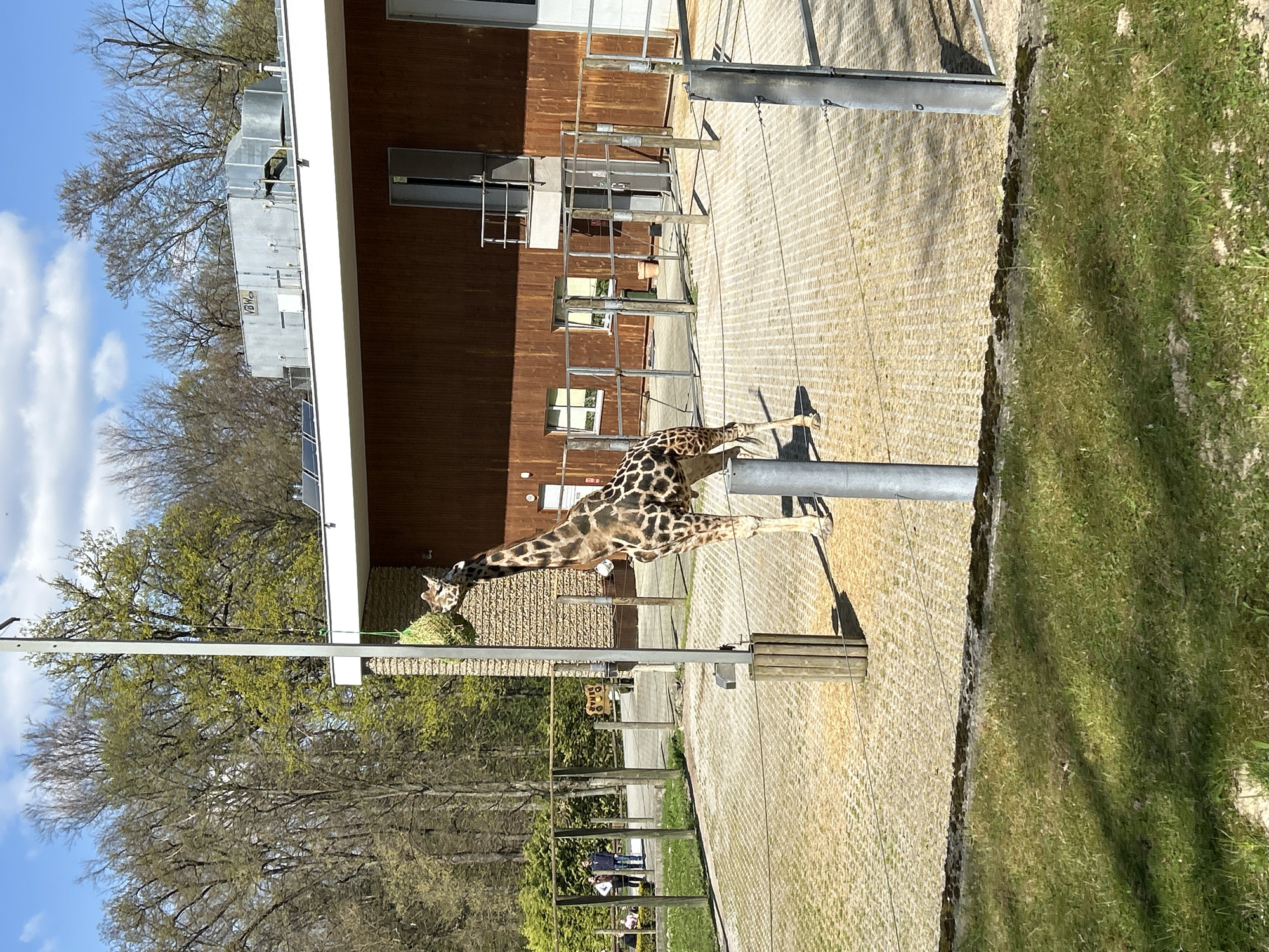 Visitor captures everyday animal life at Krakow Zoo