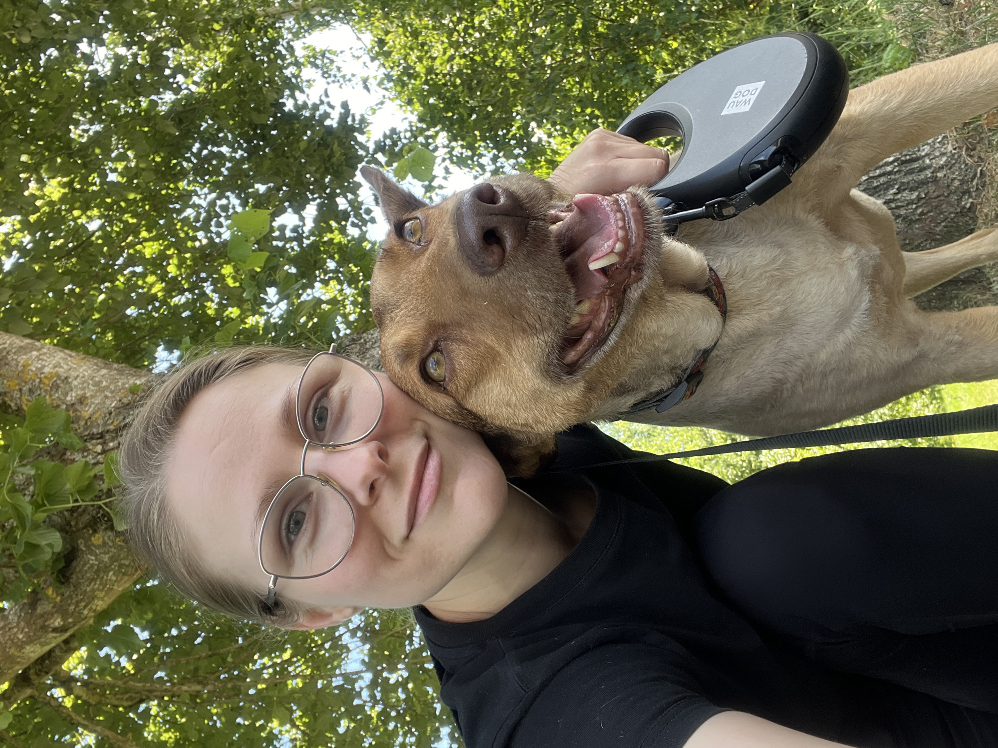 Dog gets berries and selfies in Saint Vith woodland