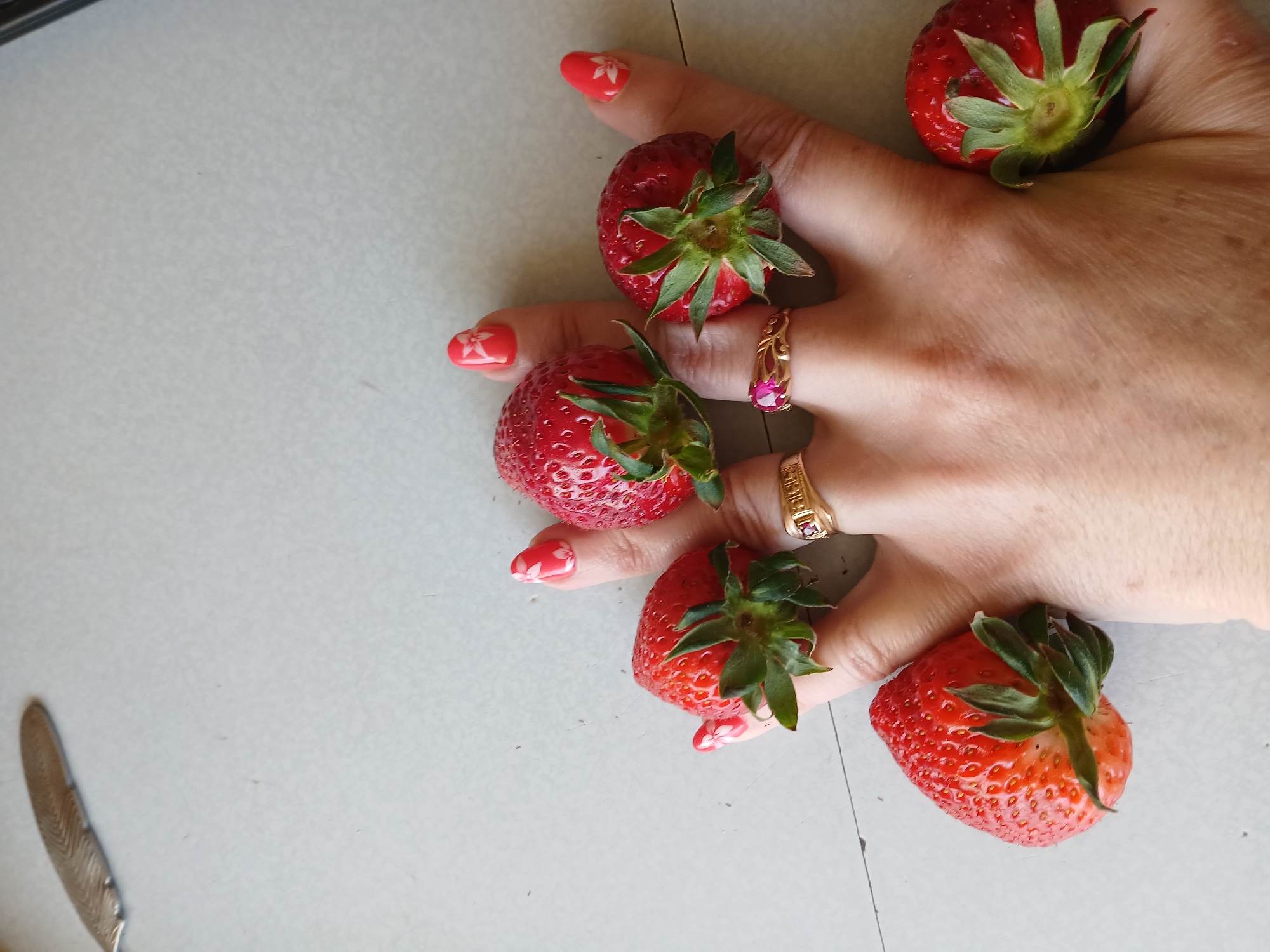 Morning scenes in Vratsa: fresh strawberries and meowing cat