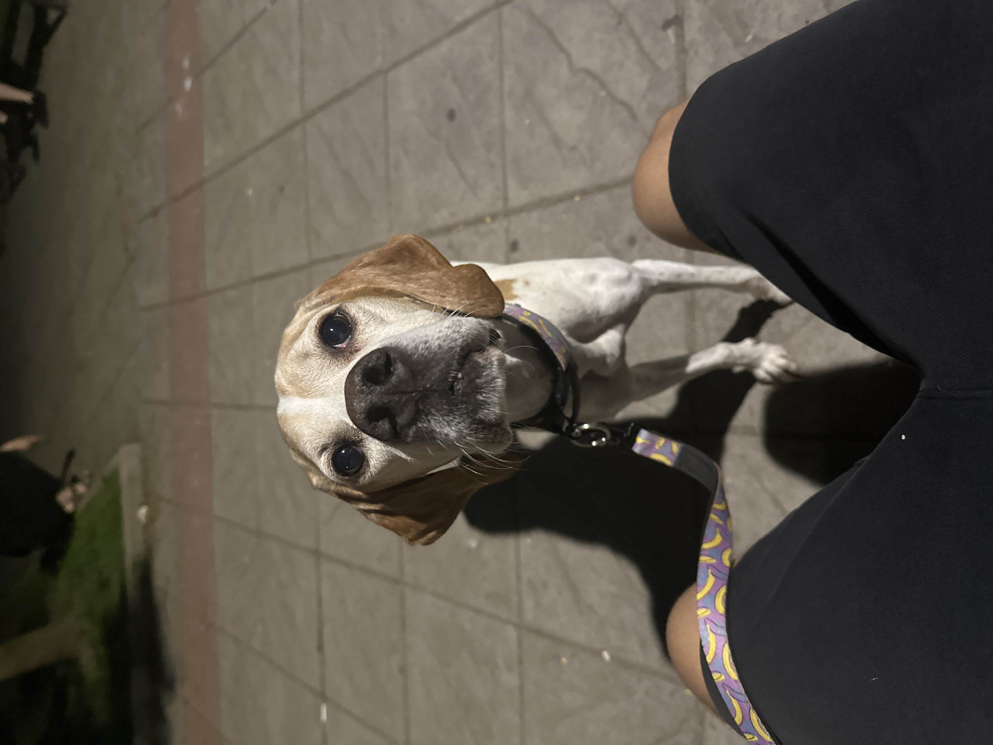 Sofia resident captures ordinary neighborhood moments across city