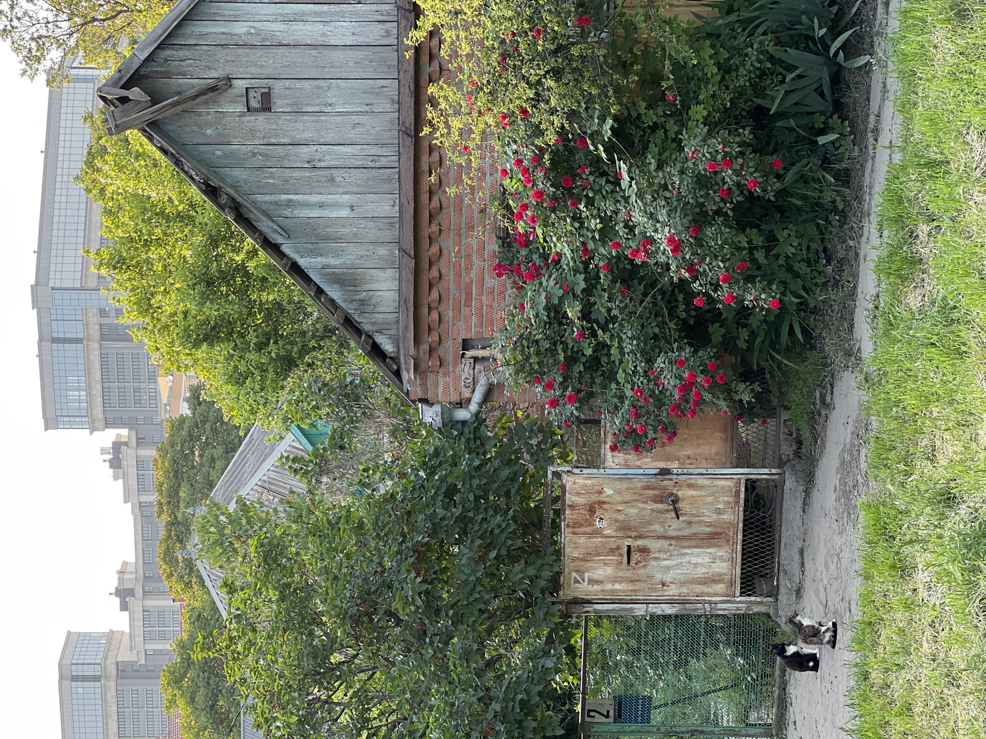 Flooding and street life documented in Krasnodar, Russia