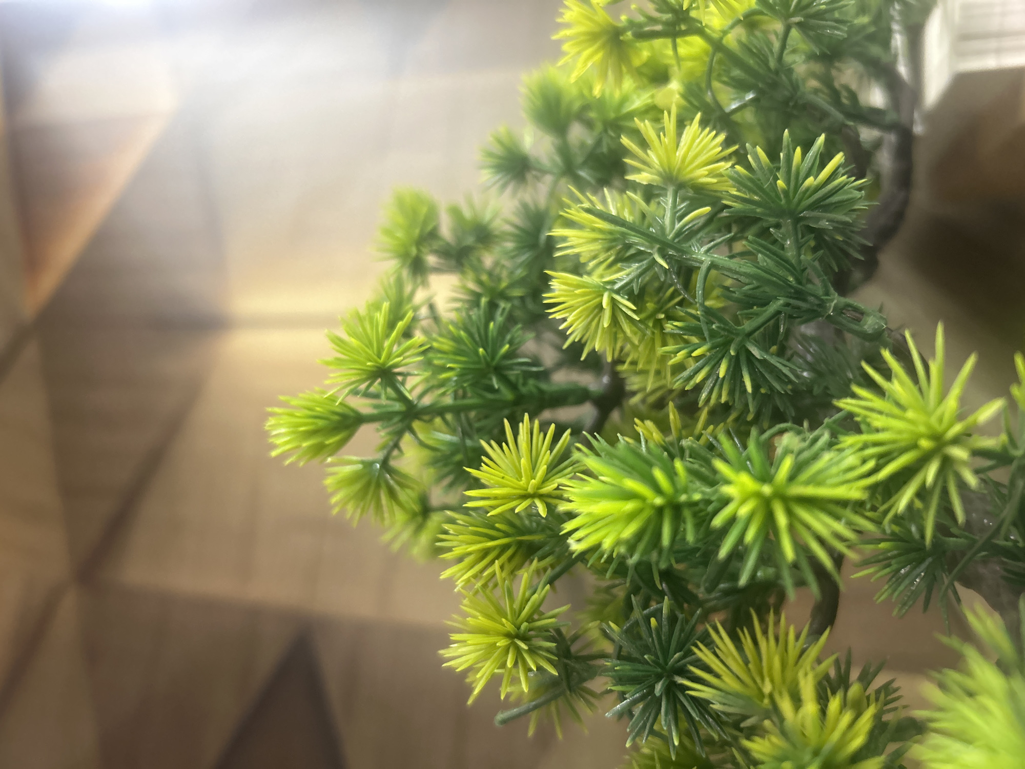 Person documents afternoon through selfies, food, and plant photography